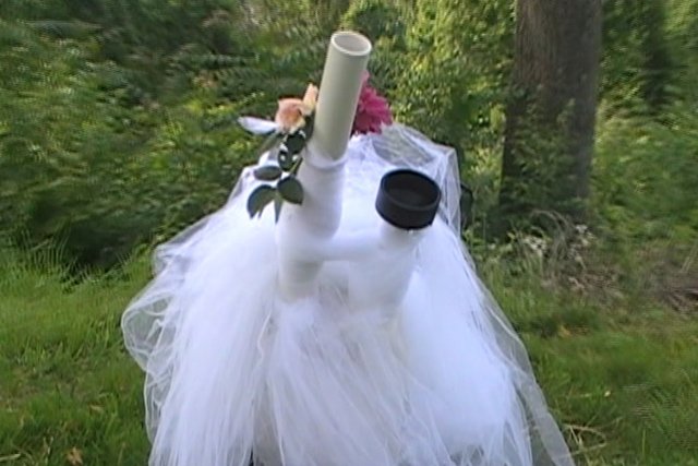 Rose Petal Cannon