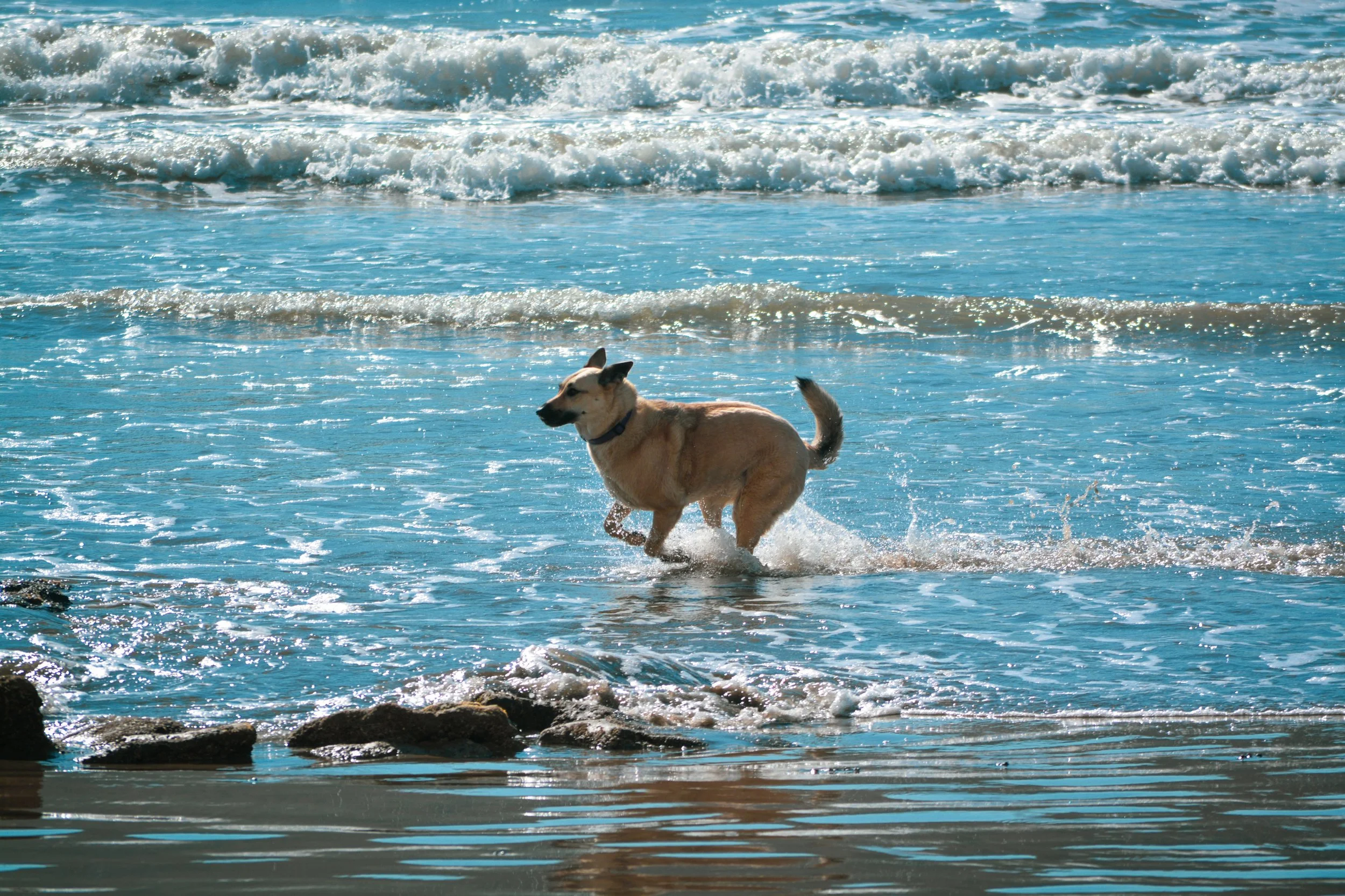Mazatlan-7.JPG