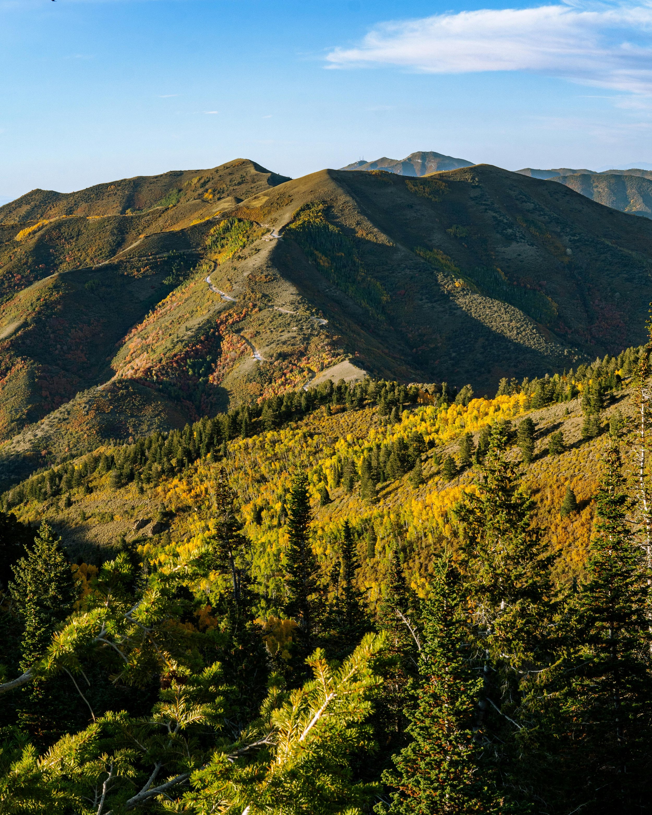 Mountain landscape with a winding trail, trees in fall colors, and distant peaks under a clear sky.