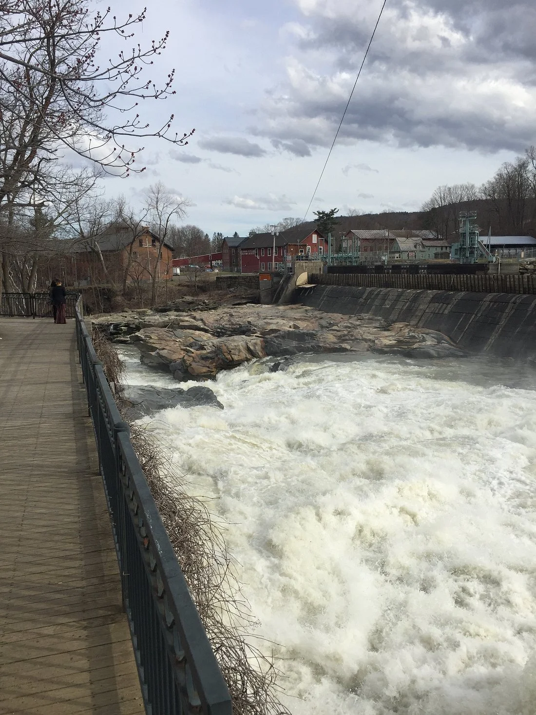 salmon-falls 9.jpg