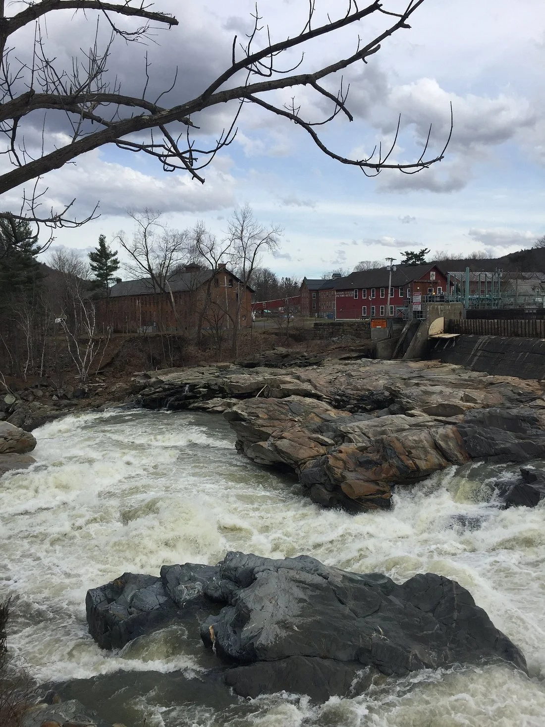 salmon-falls.jpg