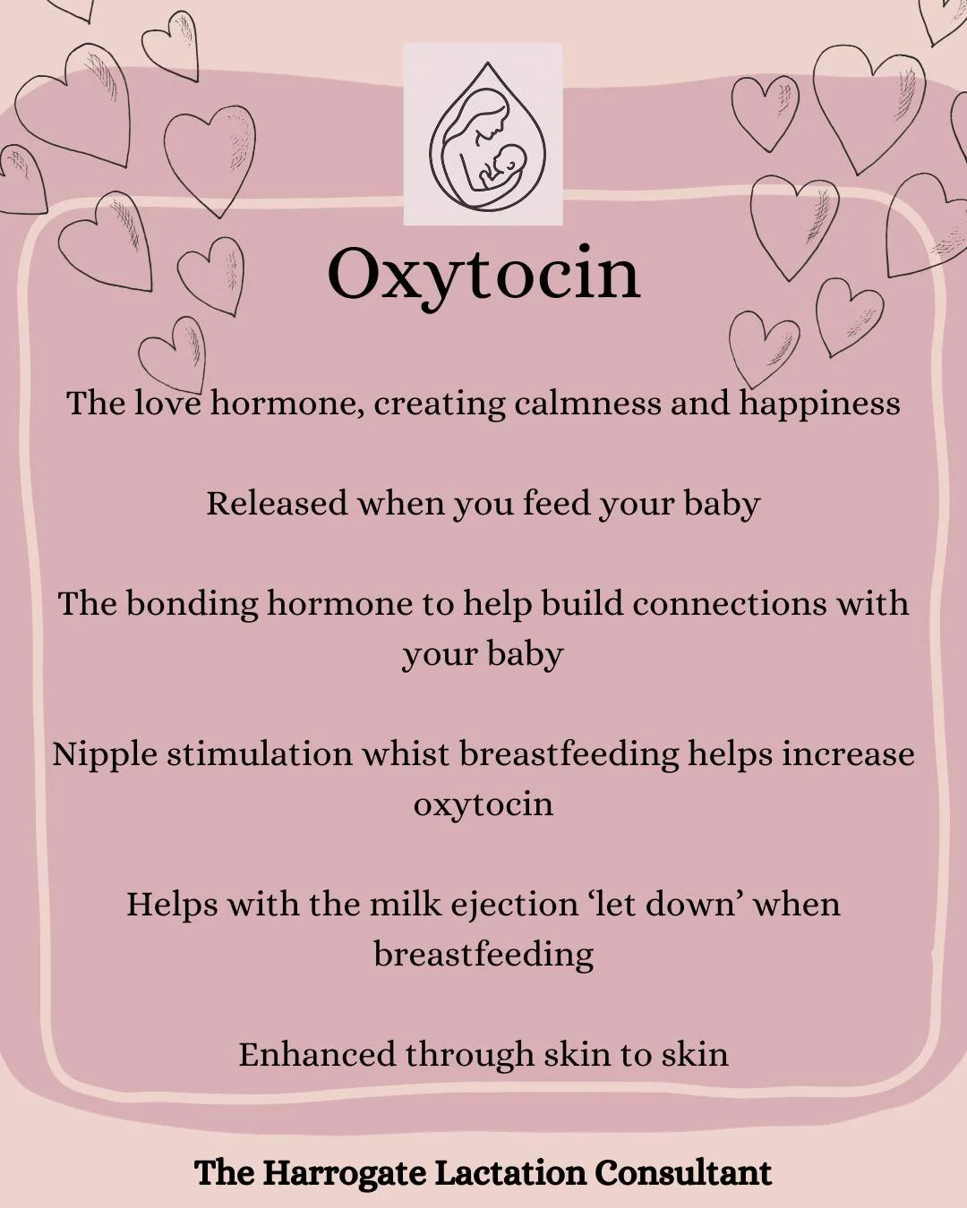 ❤️Oxytocin❤️

The love hormone

There can be times in our feeding journey that might impact our oxytocin;

💔Negative emotions
💔Stress, anxiety and unexpected events
💔Pain and discomfort from breastfeeding or birth recovery (mentally and physically