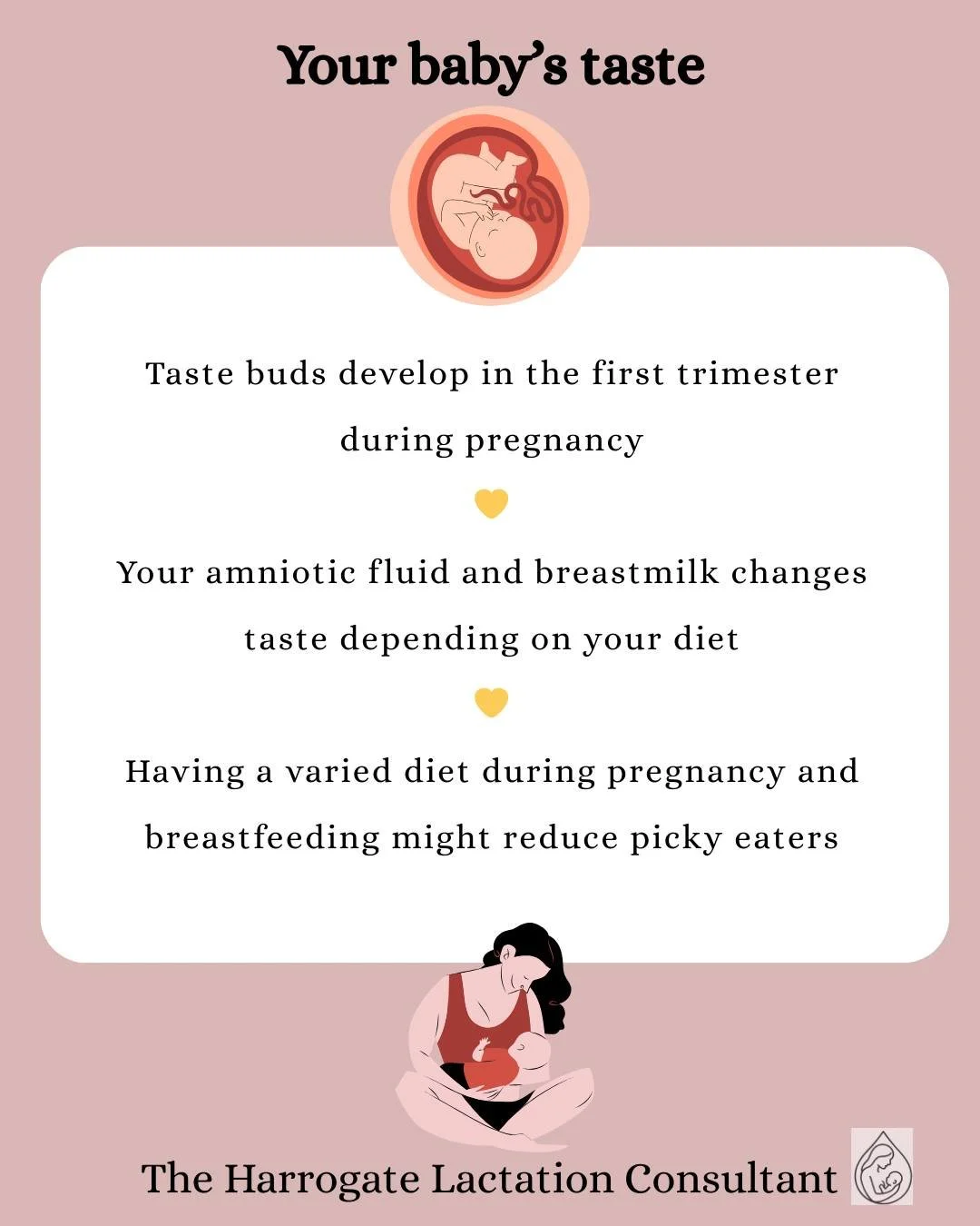 Your baby's taste 

Fascinating! 💛🤱🤰 

💛Abbie 
💛Registered Midwife
💛IBCLC Qualified

#HarrogateLactationConsultant #LactationConsultant #Harrogatemums #HarrogateInfantFeedingSupport #HarrogateBusiness #Harrogate #Breastfeeding #BreastfeedingSup