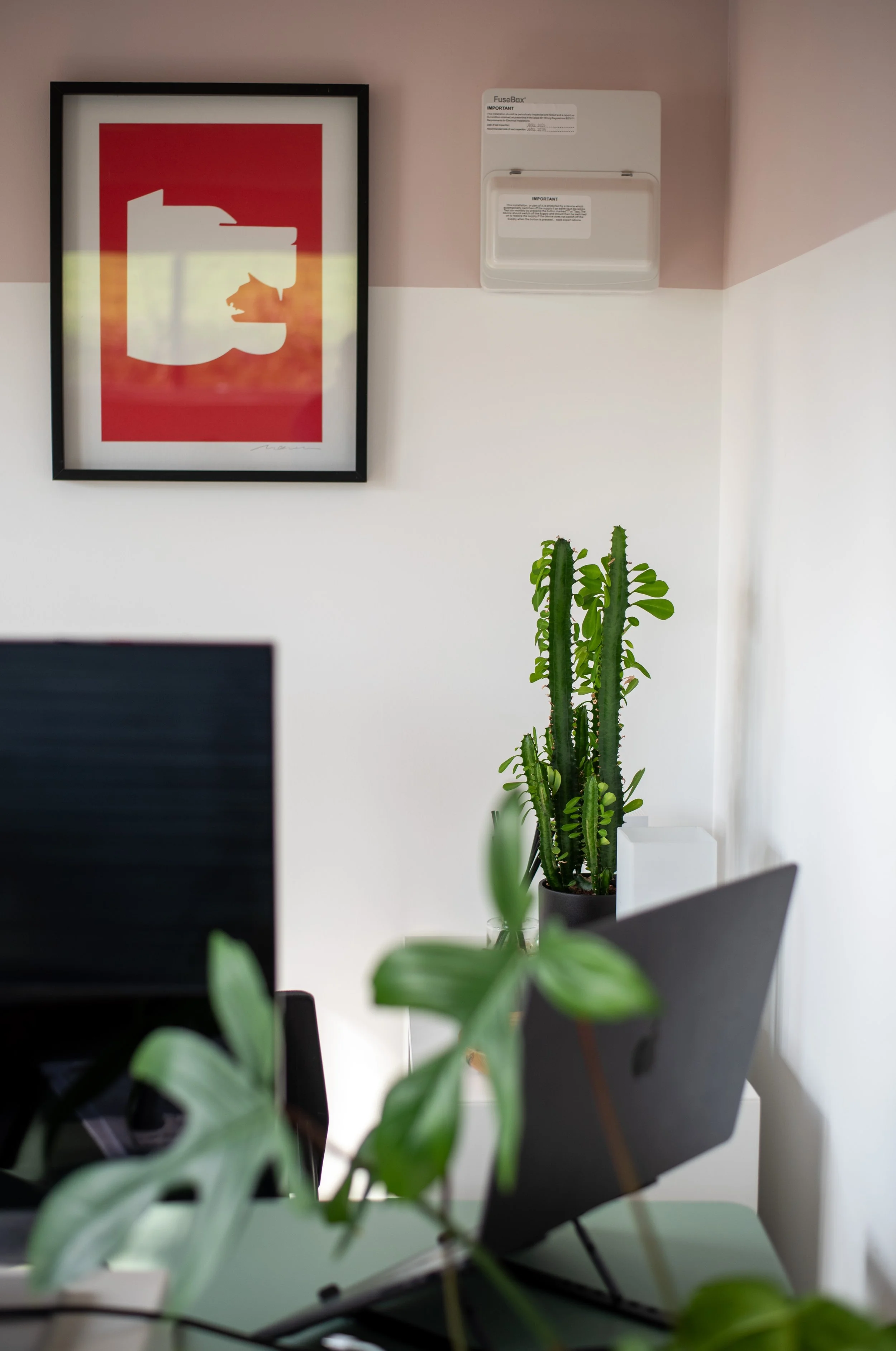 Interior office space with a black framed red artwork on the wall, a white wall-mounted box, and a tall green cactus in a pot near the corner. Part of a desk and monitors are visible in the foreground.