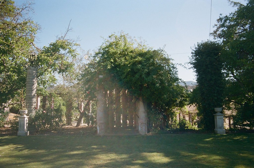 Early Wedding Planning: Why the Best Weddings Don’t Start Fast…