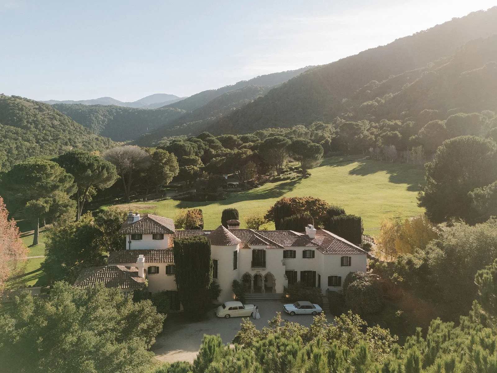 402 Stone Pine - Sabrina Ryan.jpg