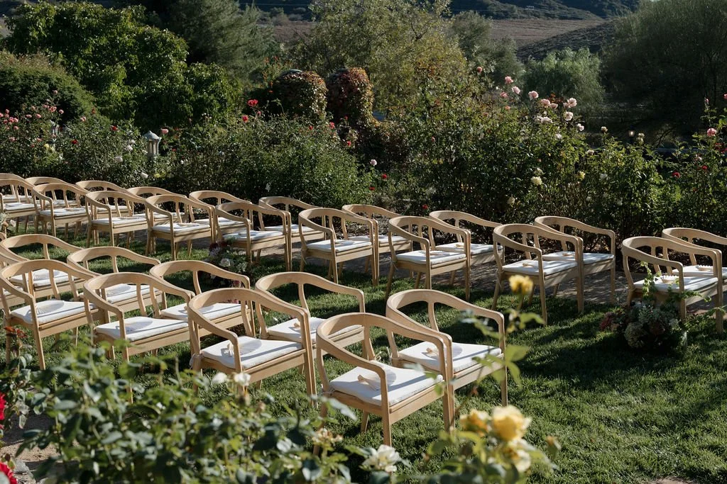 Rows of empty wooden chairs with white cushions arranged in a garden with blooming roses.