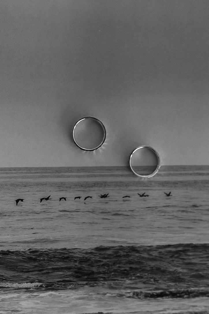 Black and white photo of a seascape with birds flying over the water, overlaid with two ring-shaped objects.