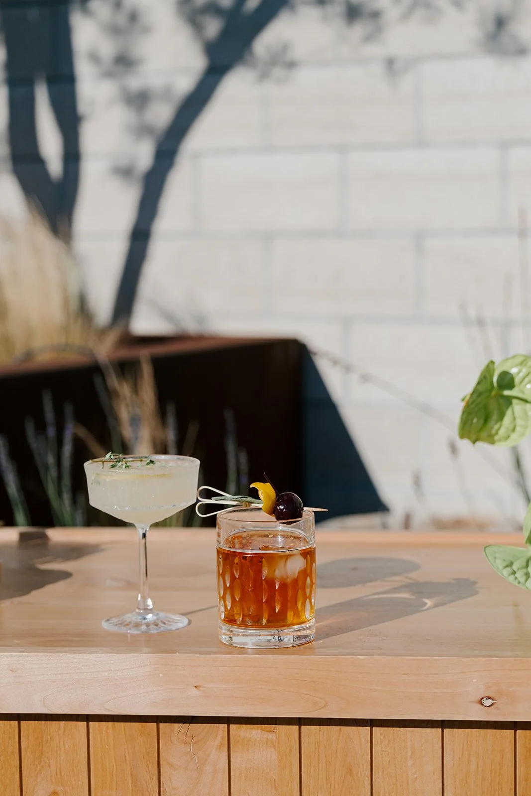 Two cocktails on a wooden bar: a margarita in a stemmed glass with garnish, and a Manhattan in a rocks glass with cherry and orange peel garnish, set outdoors with a brick wall and plants in the background.