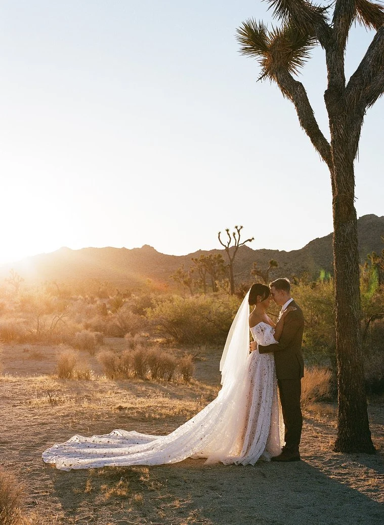 A bride and groom are standing close together in a desert landscape at sunset, holding hands and looking at each other. The bride is wearing a white wedding dress with a long train and veil, and the groom is in a dark suit. There is a tall tree and mountains in the background.