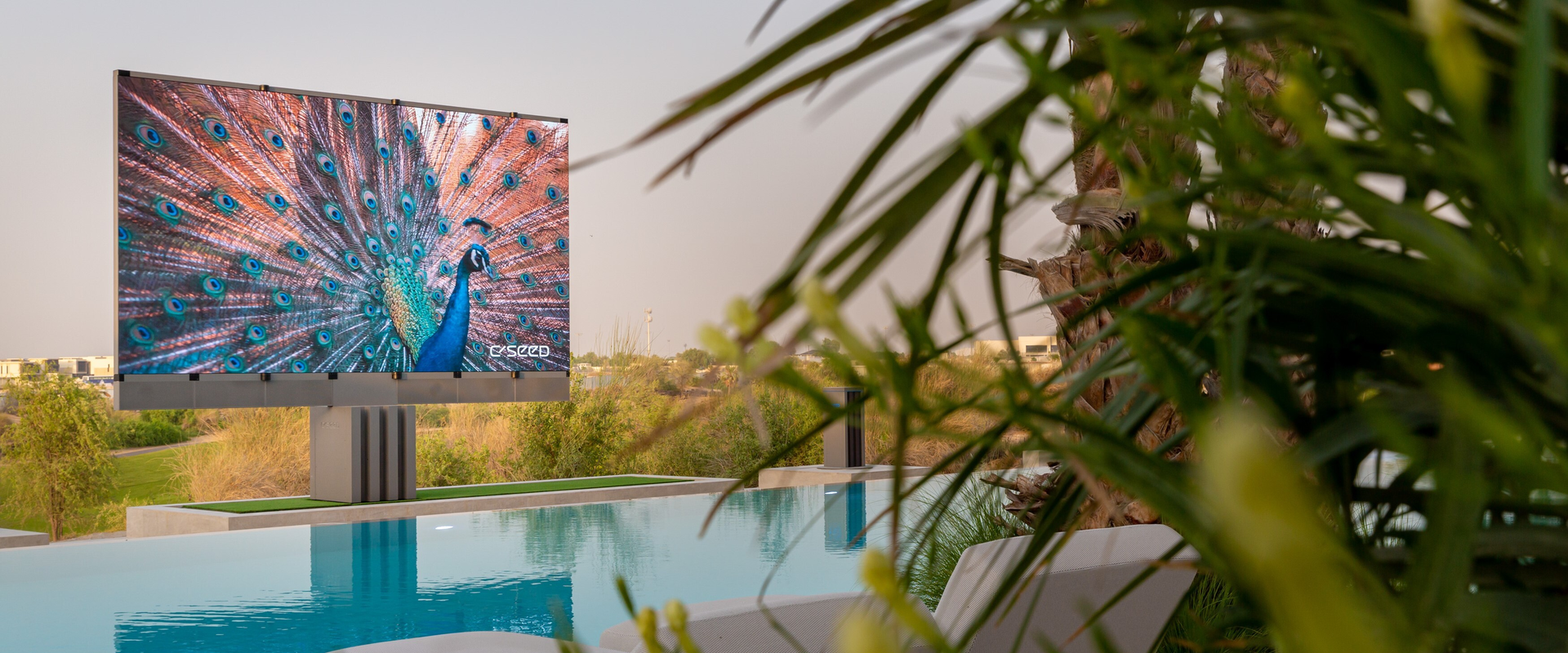 Outdoor pool with a large digital billboard displaying a peacock with vibrant feathers, surrounded by green plants and trees, during the daytime.