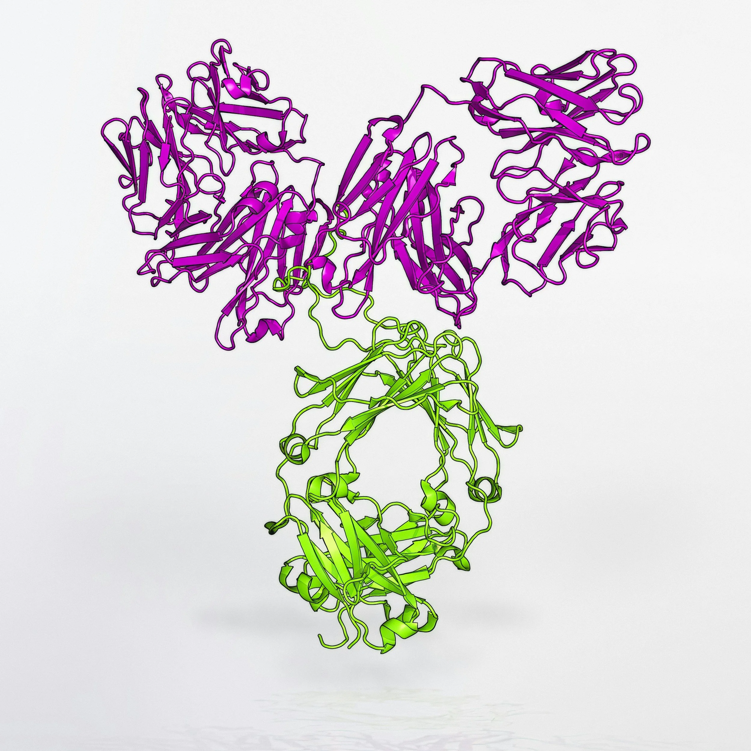Colorful 3D rendering of a molecular structure with purple and green chains, depicting a complex protein or enzyme.