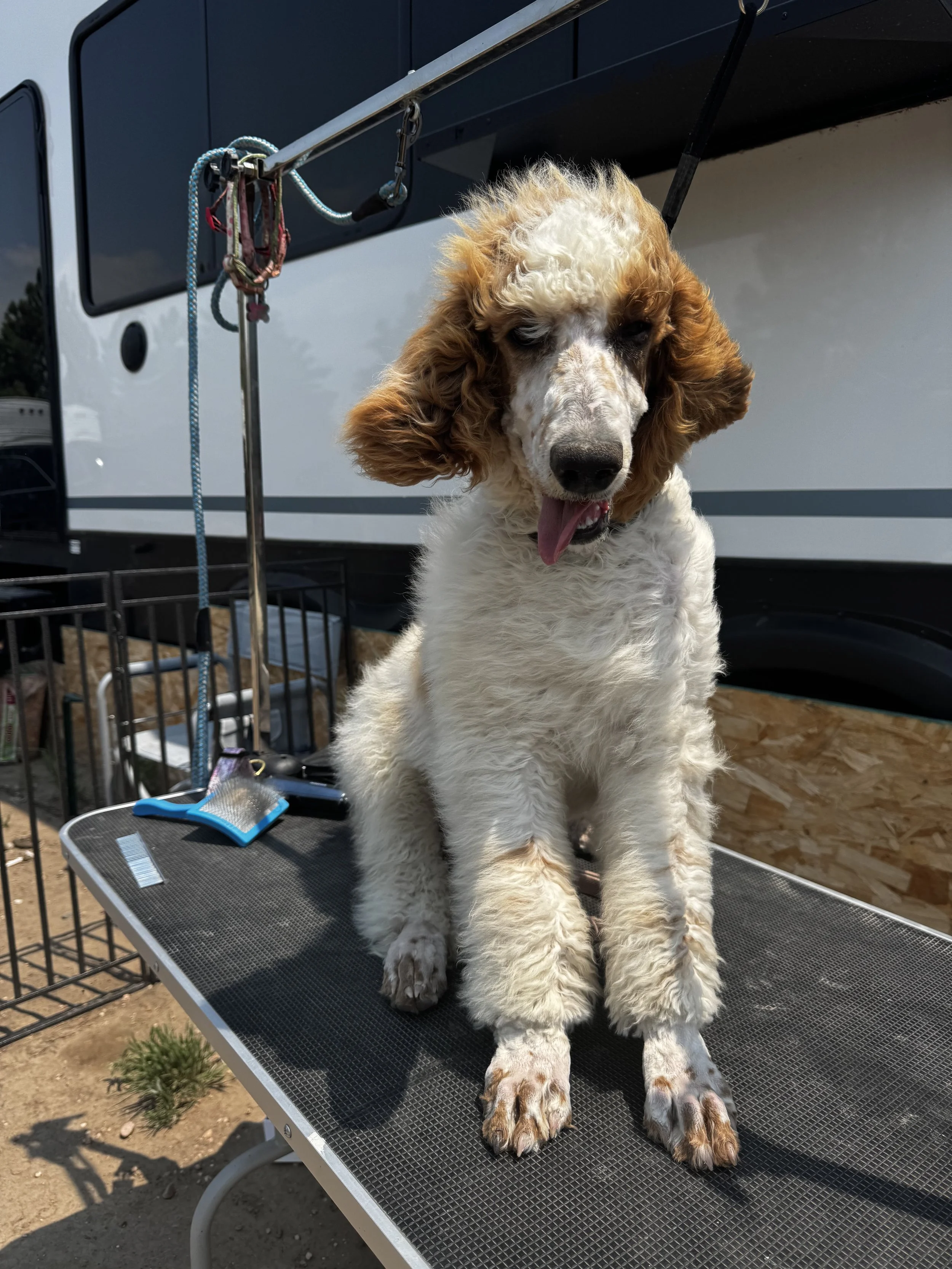 Nala