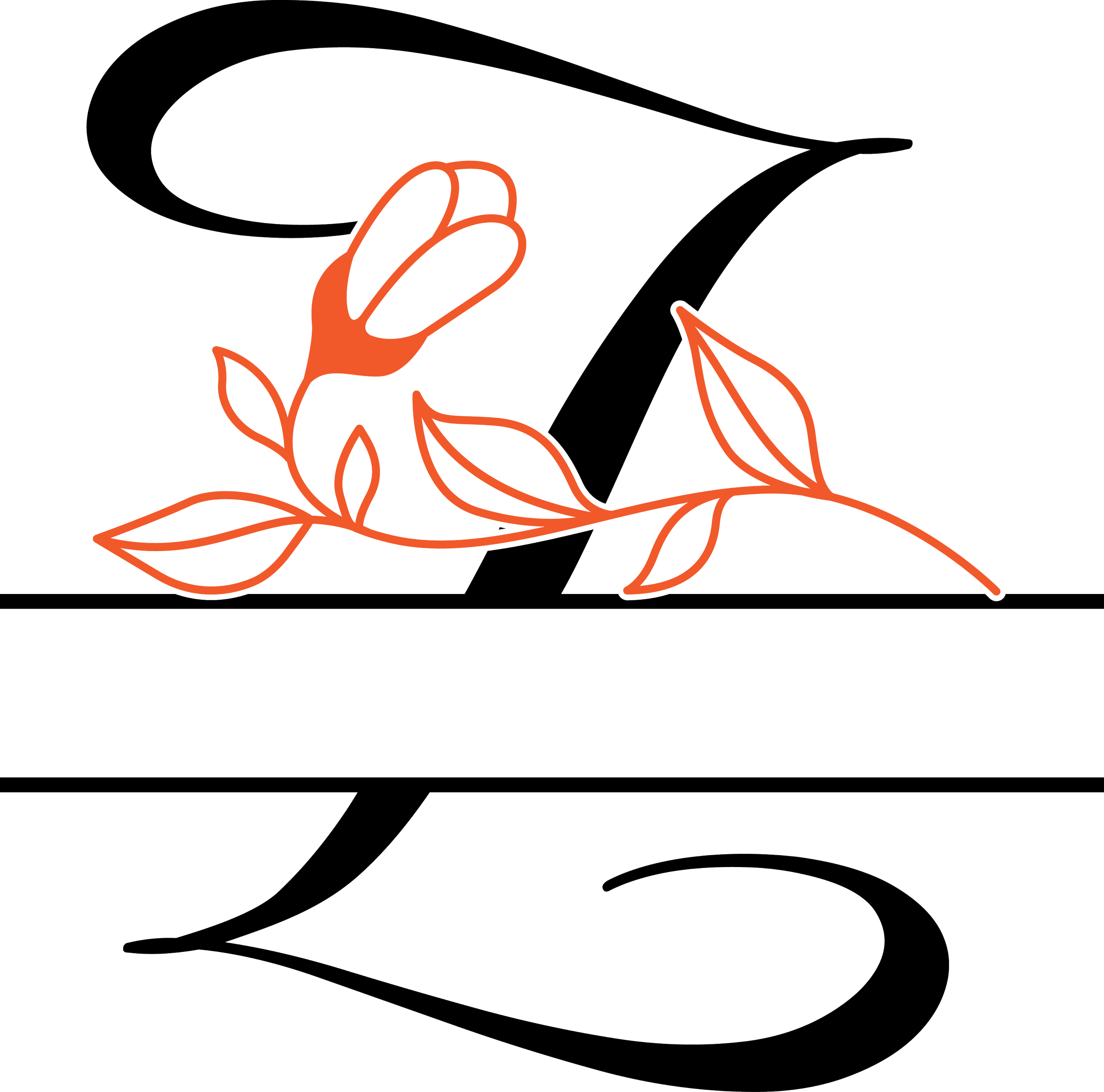 Z.png