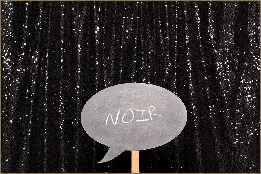 Black background with shimmering silver strands, a gray oval speech bubble with the word 'NOIR' written inside, mounted on a wooden stick.