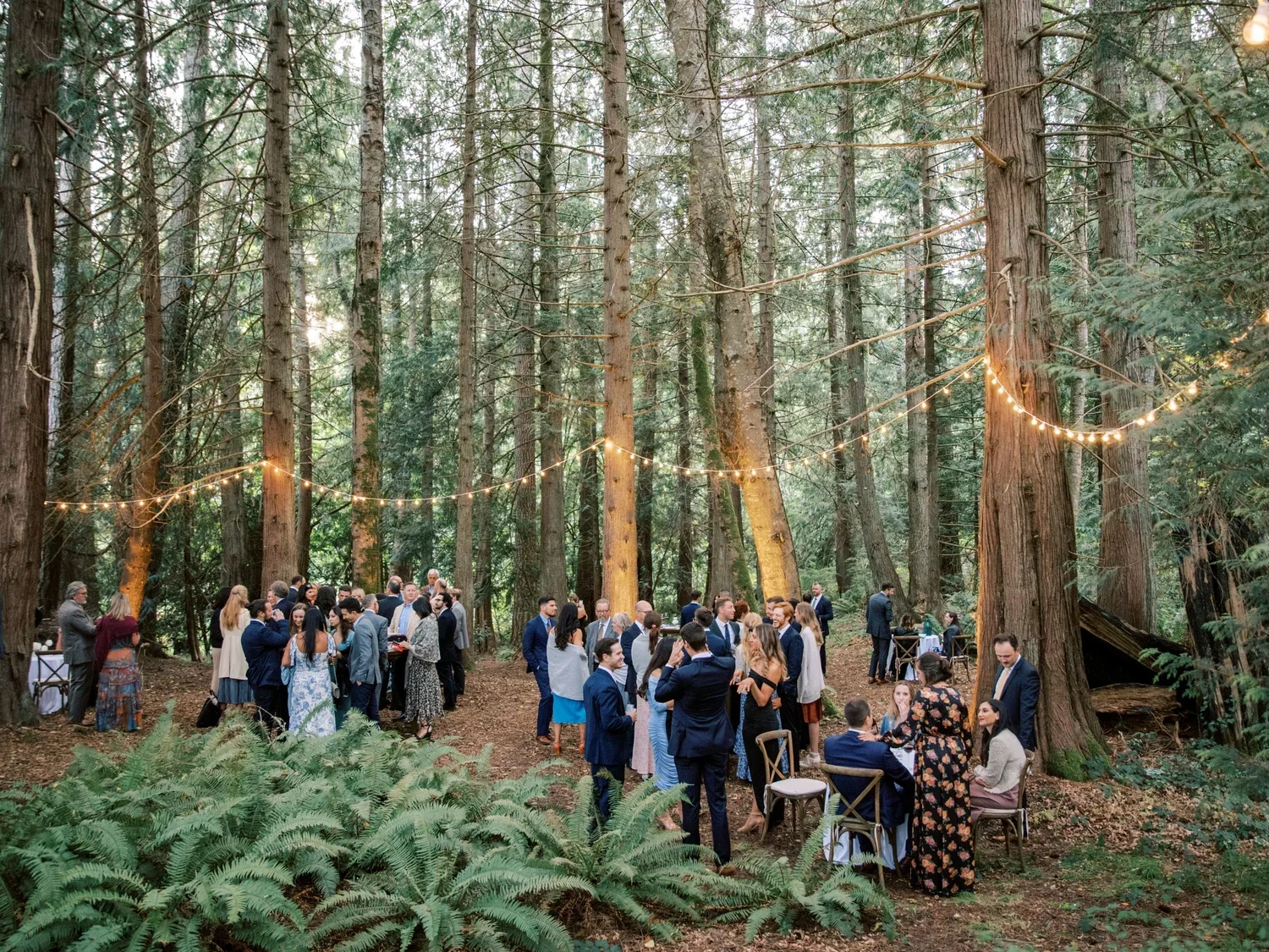 A group of people gathered outdoors in a forest for a celebration or event, with string lights hanging above among tall trees and ferns on the ground.
