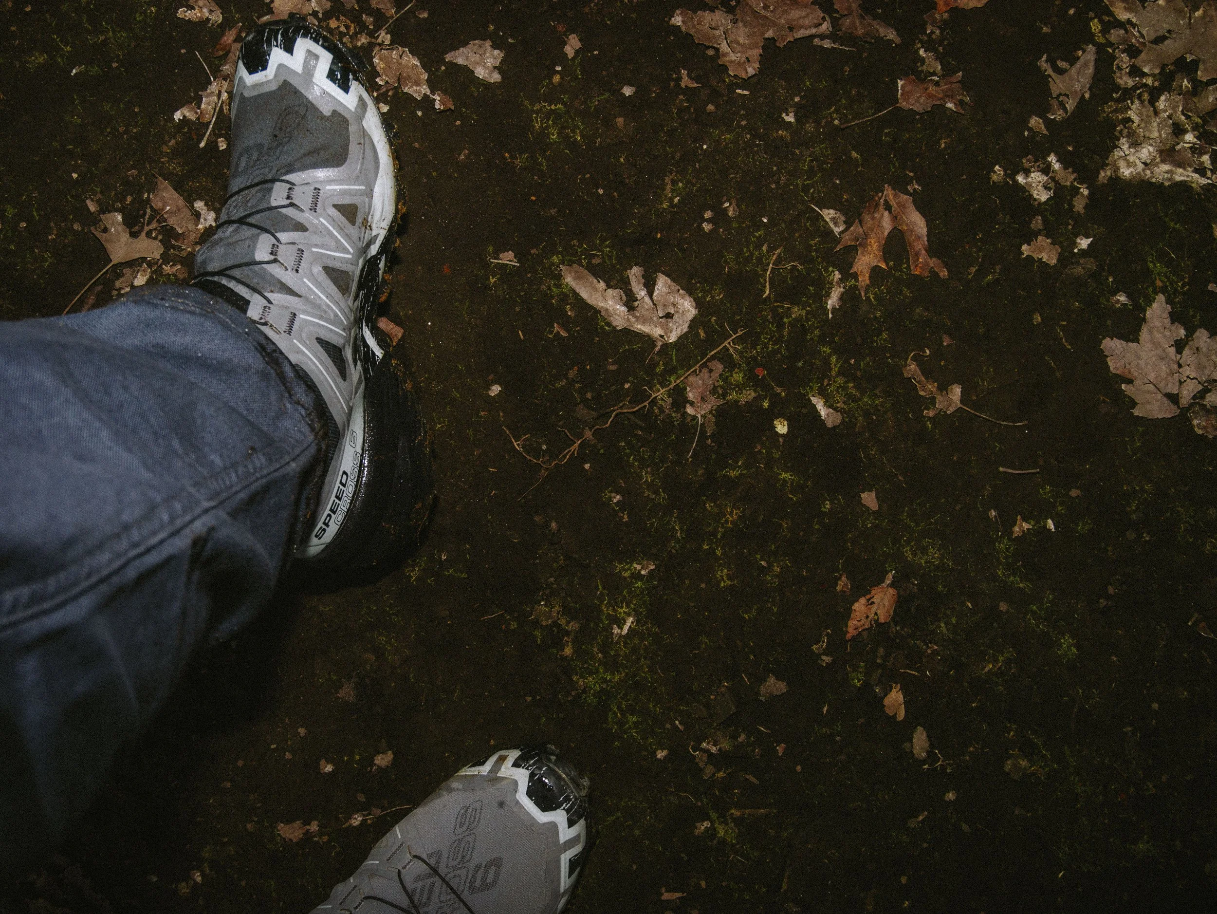 _1210782.jpg