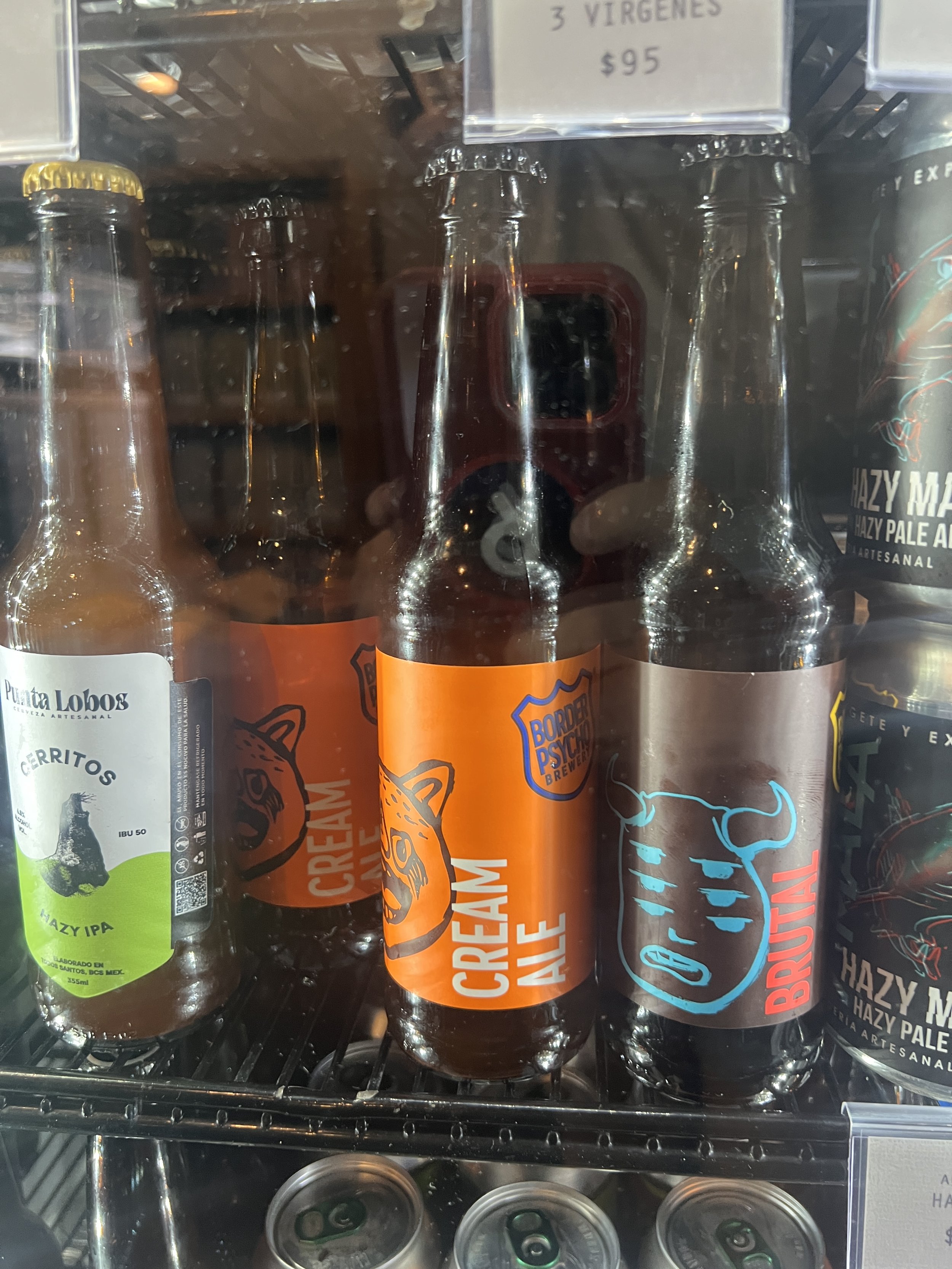 Assorted craft beers in bottles and cans on a store fridge shelf, including a green label beer, an orange labeled 'Cream Ale,' a brown bottle labeled 'Bruj' with a bull skull design, and a black can with colorful artwork.