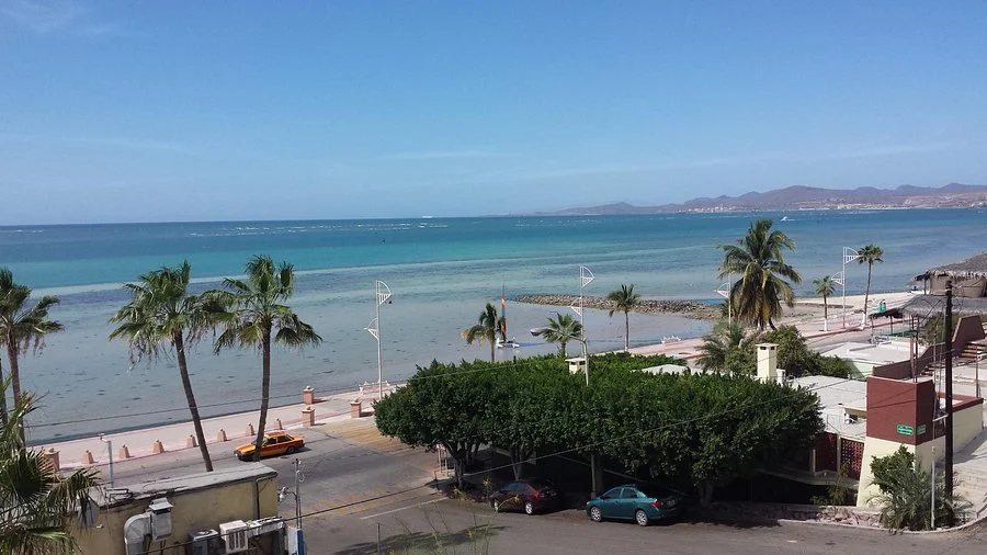 Beach scene with palm trees, calm ocean water, blue sky, and distant mountains