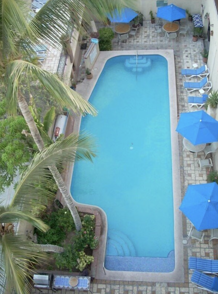 Overhead view of a swimming pool surrounded by lounge chairs with blue umbrellas, palm trees, and potted plants in a backyard patio area.