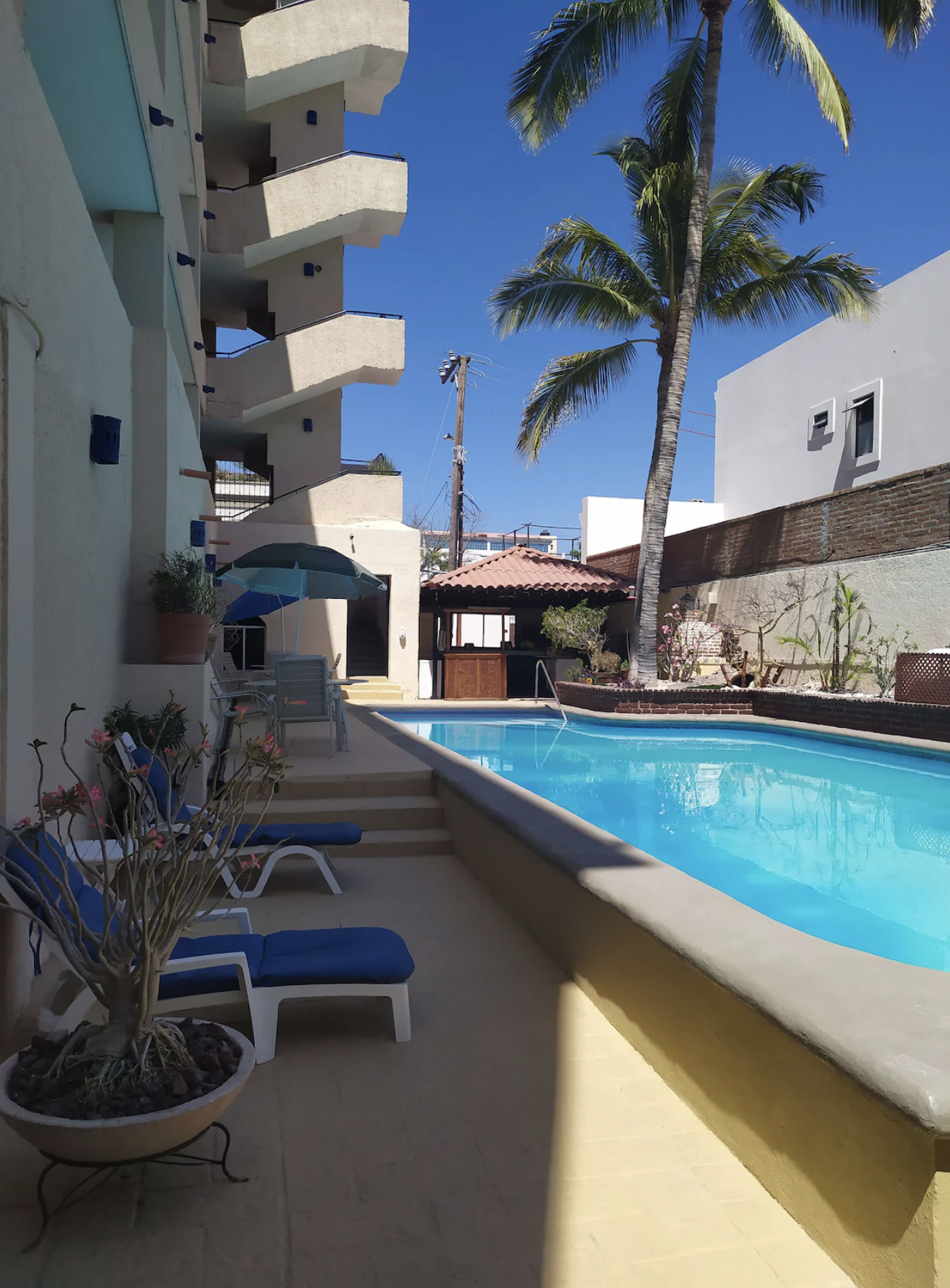 A backyard with a swimming pool under a clear blue sky, surrounded by palm trees, patio furniture with blue cushions, and a small landscaped area with plants and flowers.