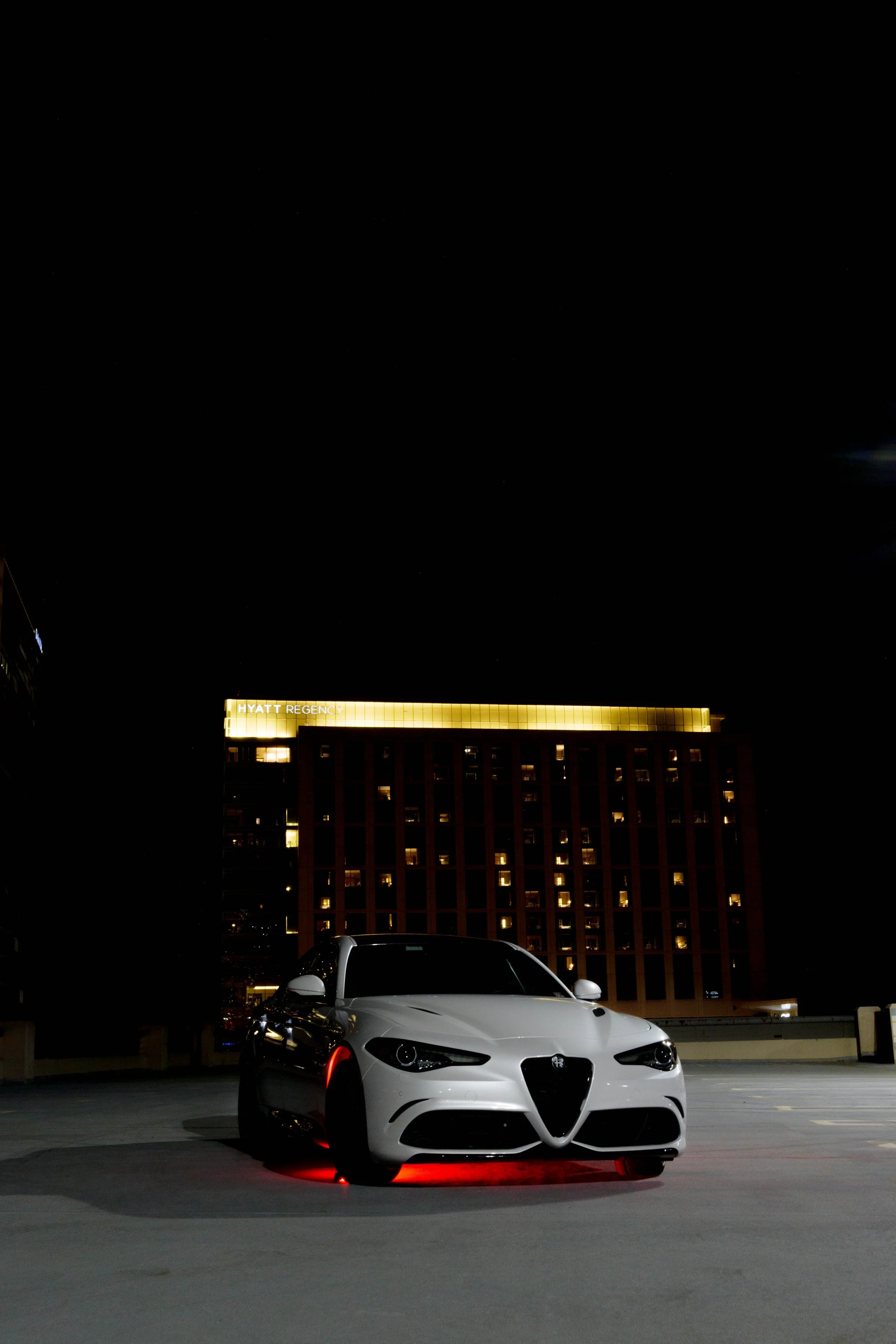 ALFA  (12).jpg