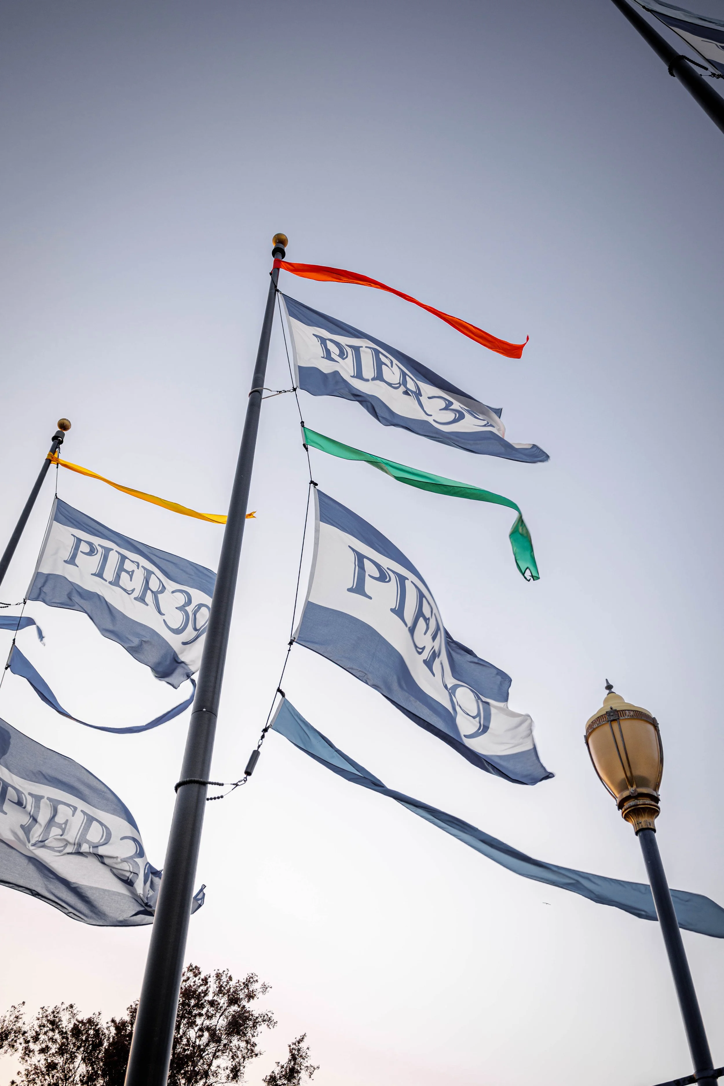 San Francisco_ (169).jpg