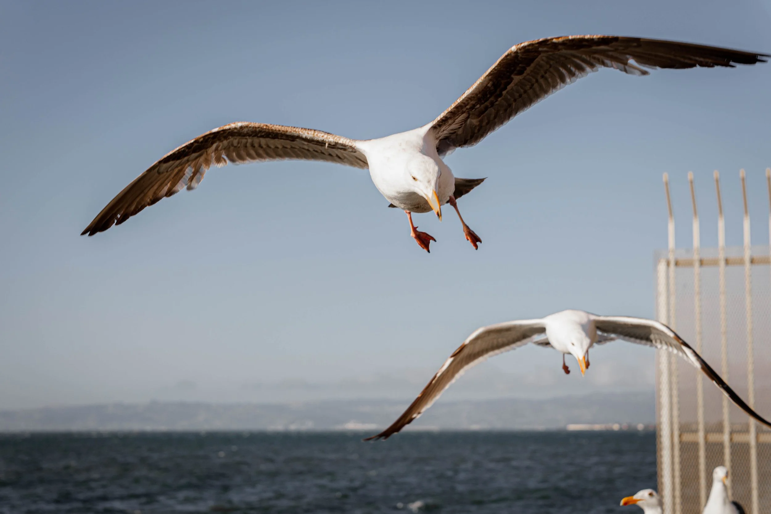 Last Day In SF-76.jpg