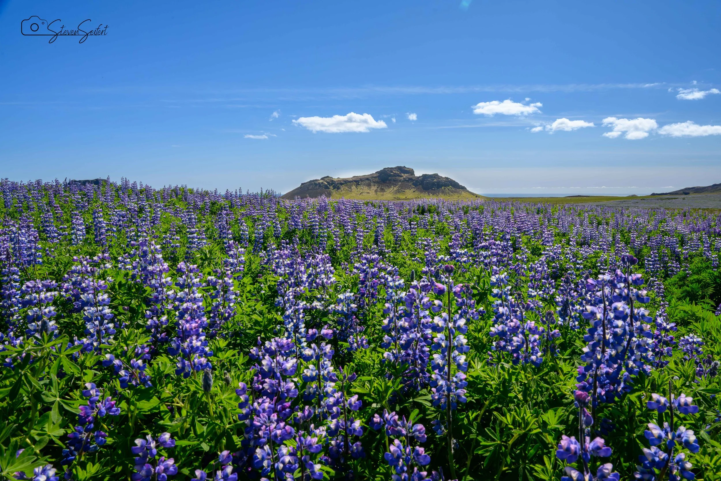 Iceland-Day2-26-LR.jpg