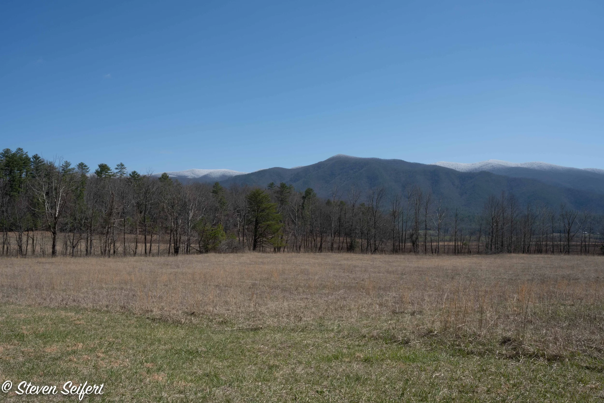 Cades Cove LR20253.jpg