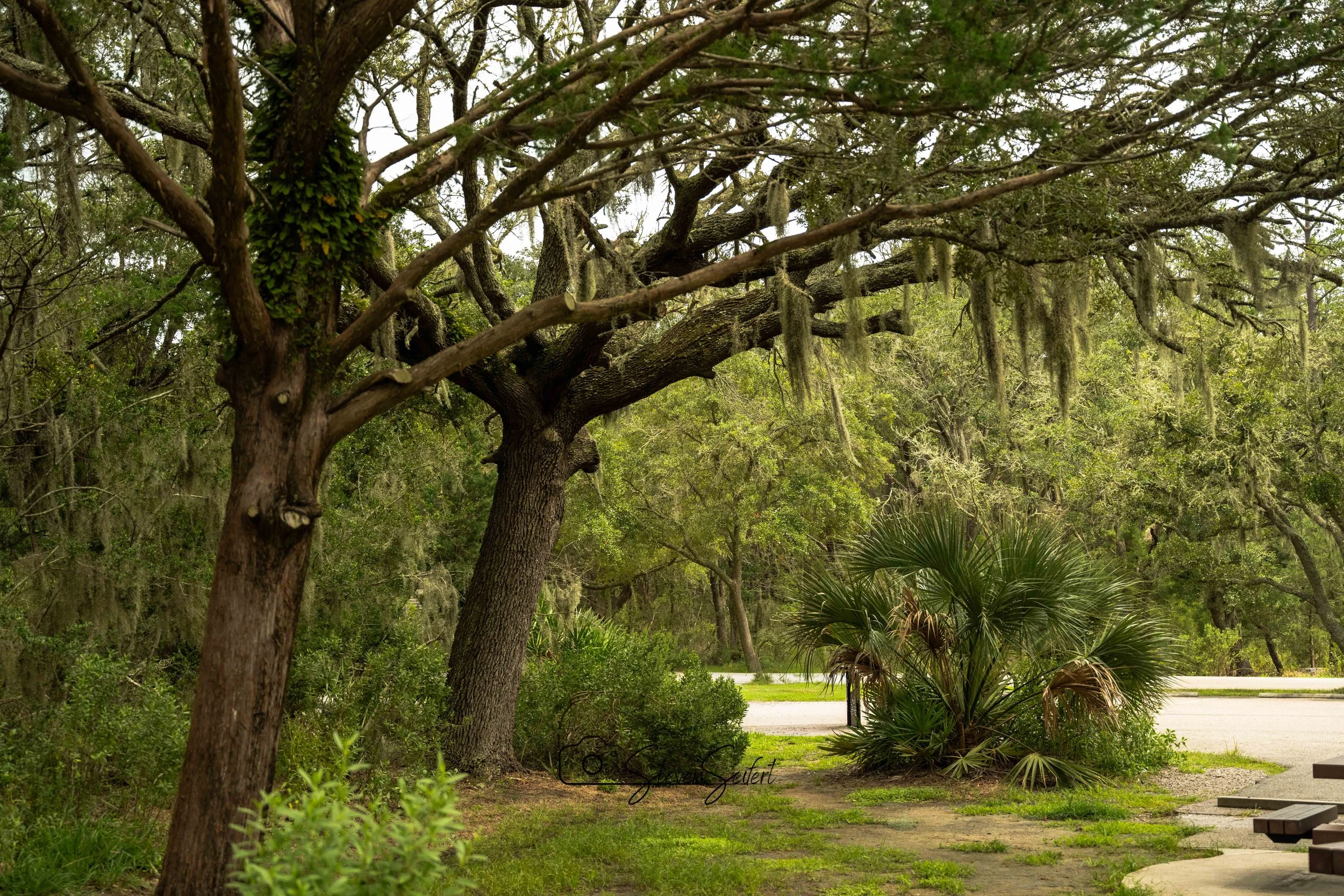 Huntington Beach State Park