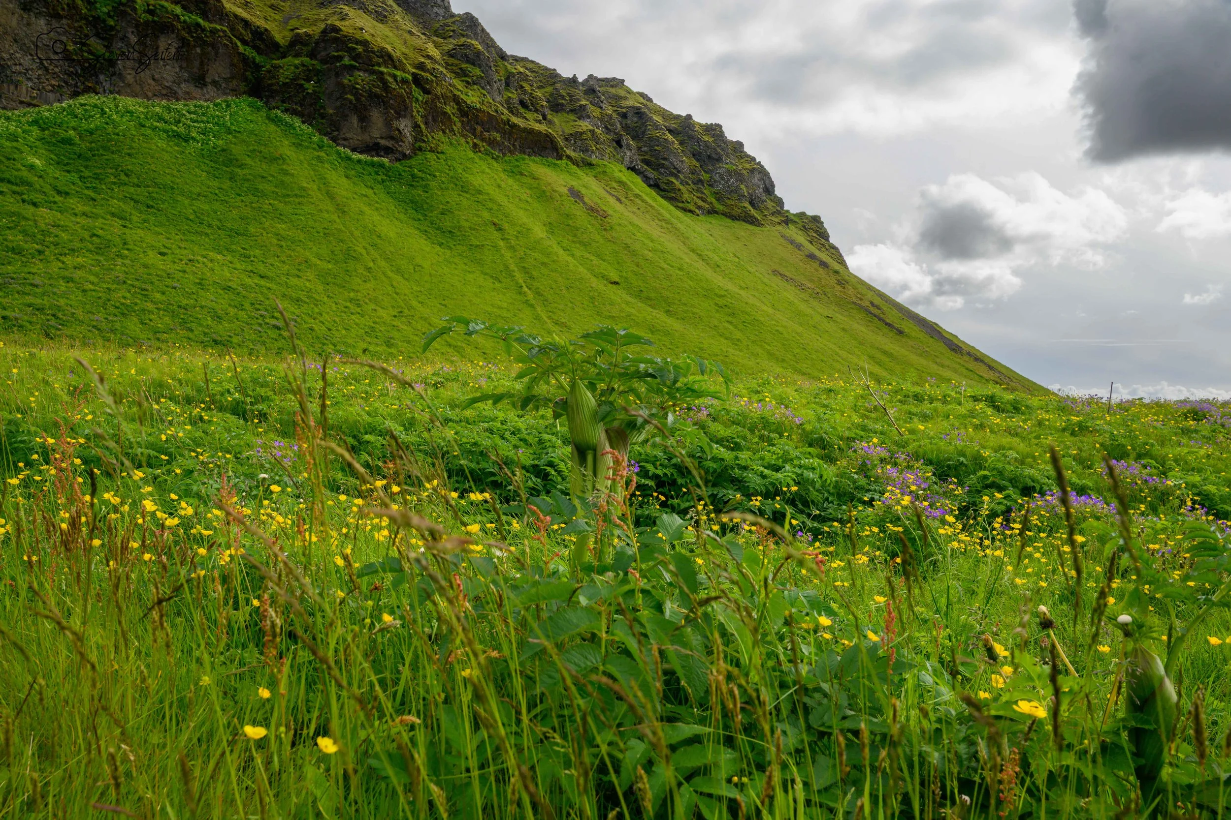 Iceland-Day1-54-LR.jpg