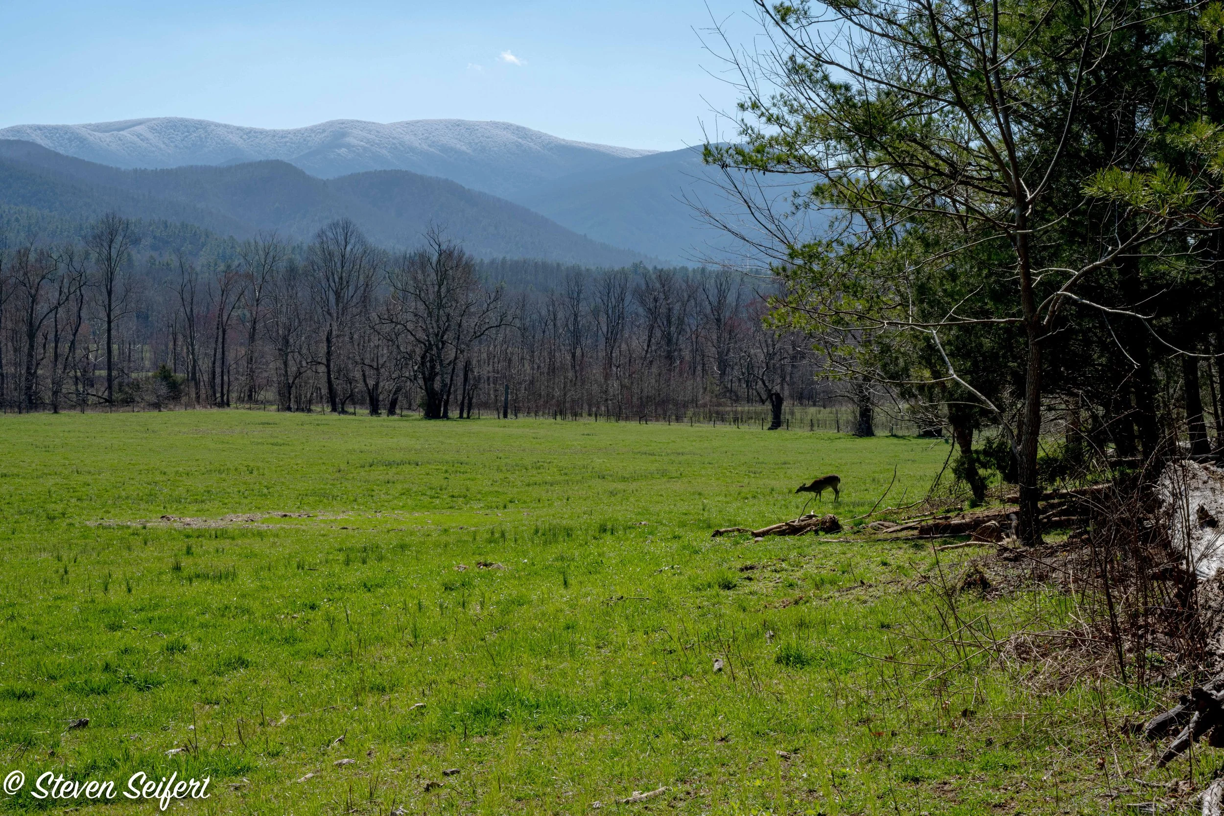 Cades Cove