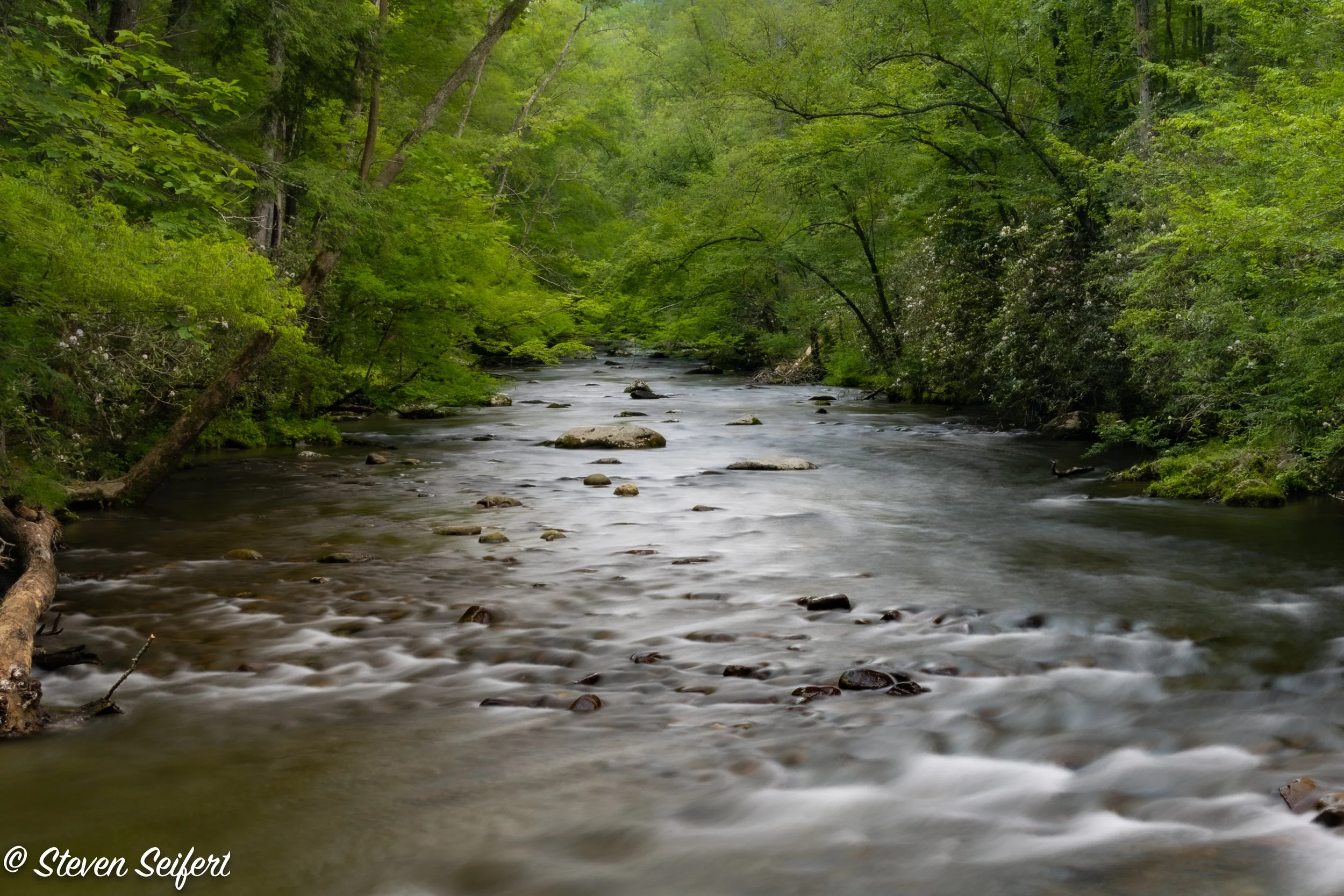 Great Smoky Mountain State Park
