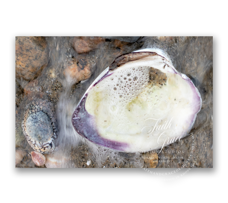 4x6_postcards_coastal_quahog-front-product.png