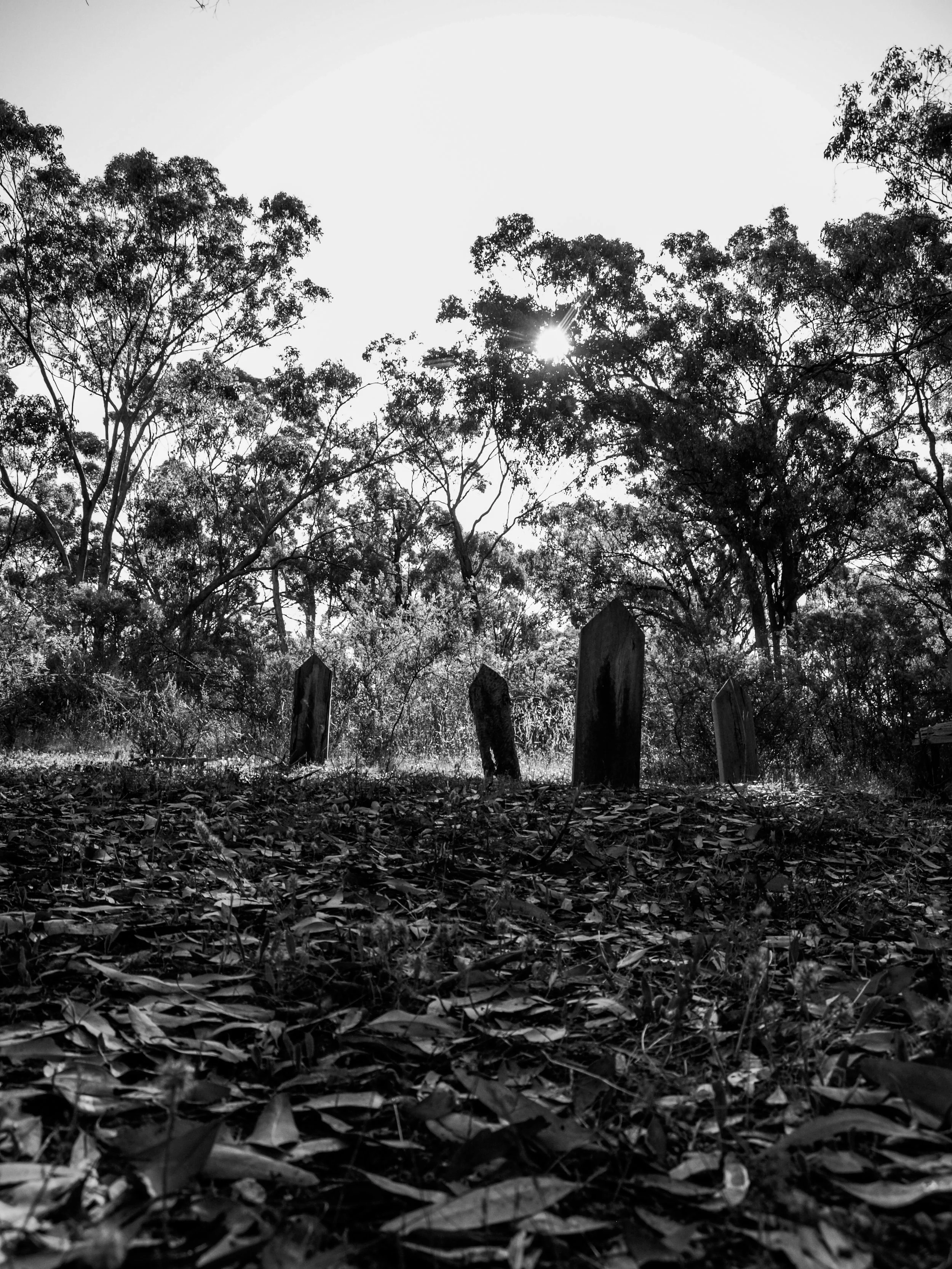 South Australian Gothic