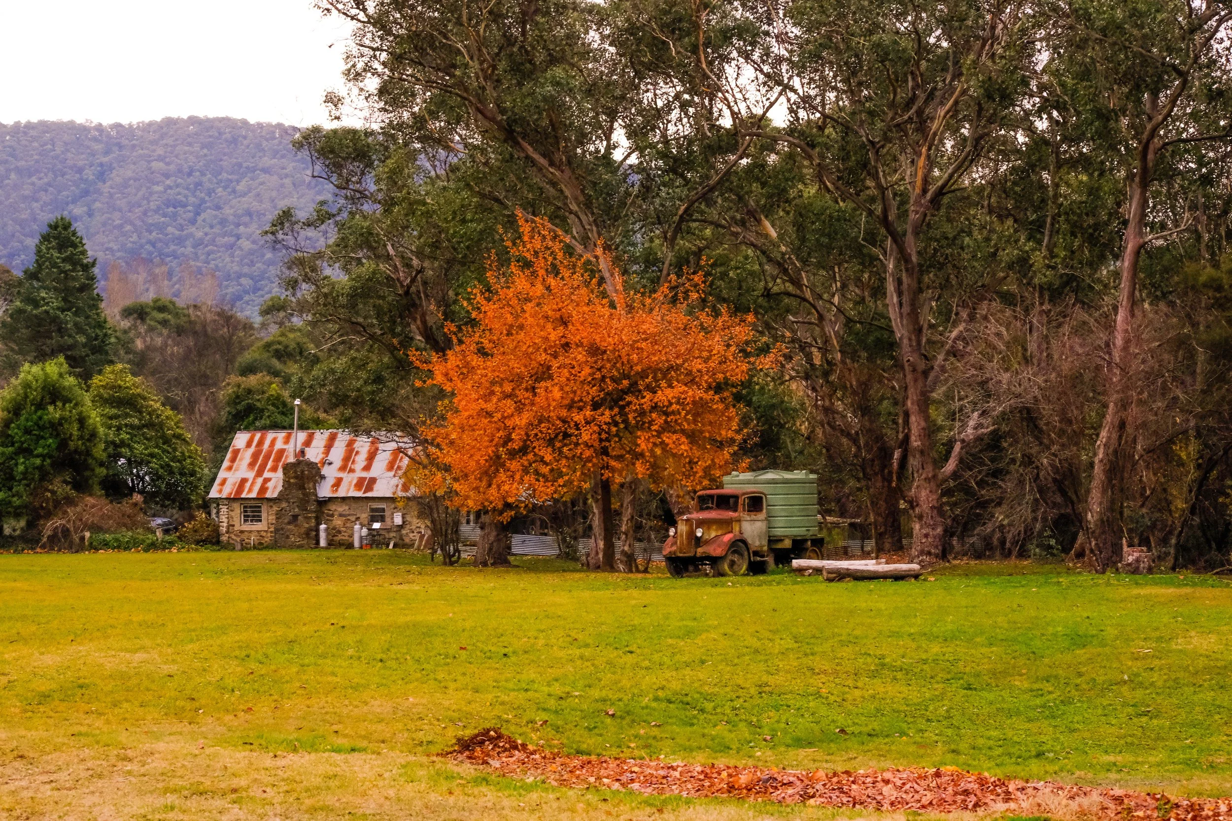 Harrietville