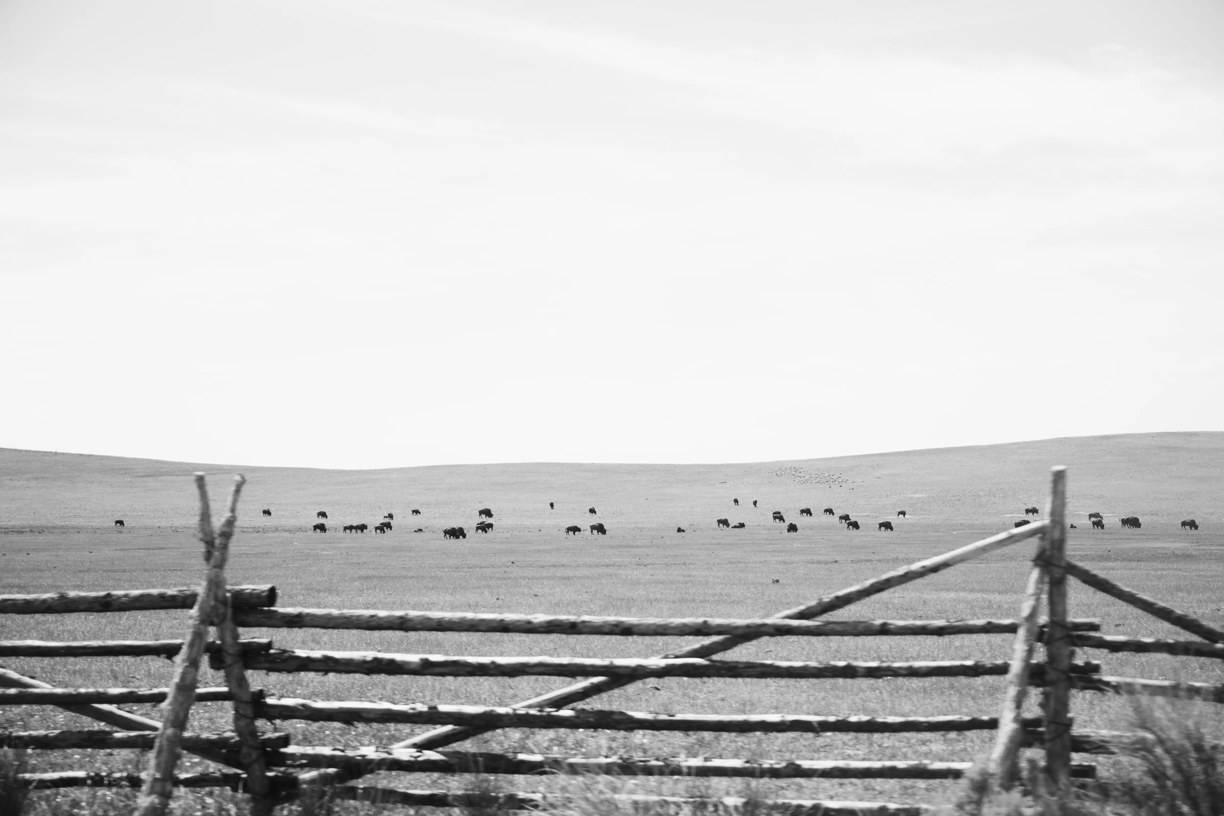94B6E03E-5C7E-45D1-A7A9-ED058936A2A5.JPG
