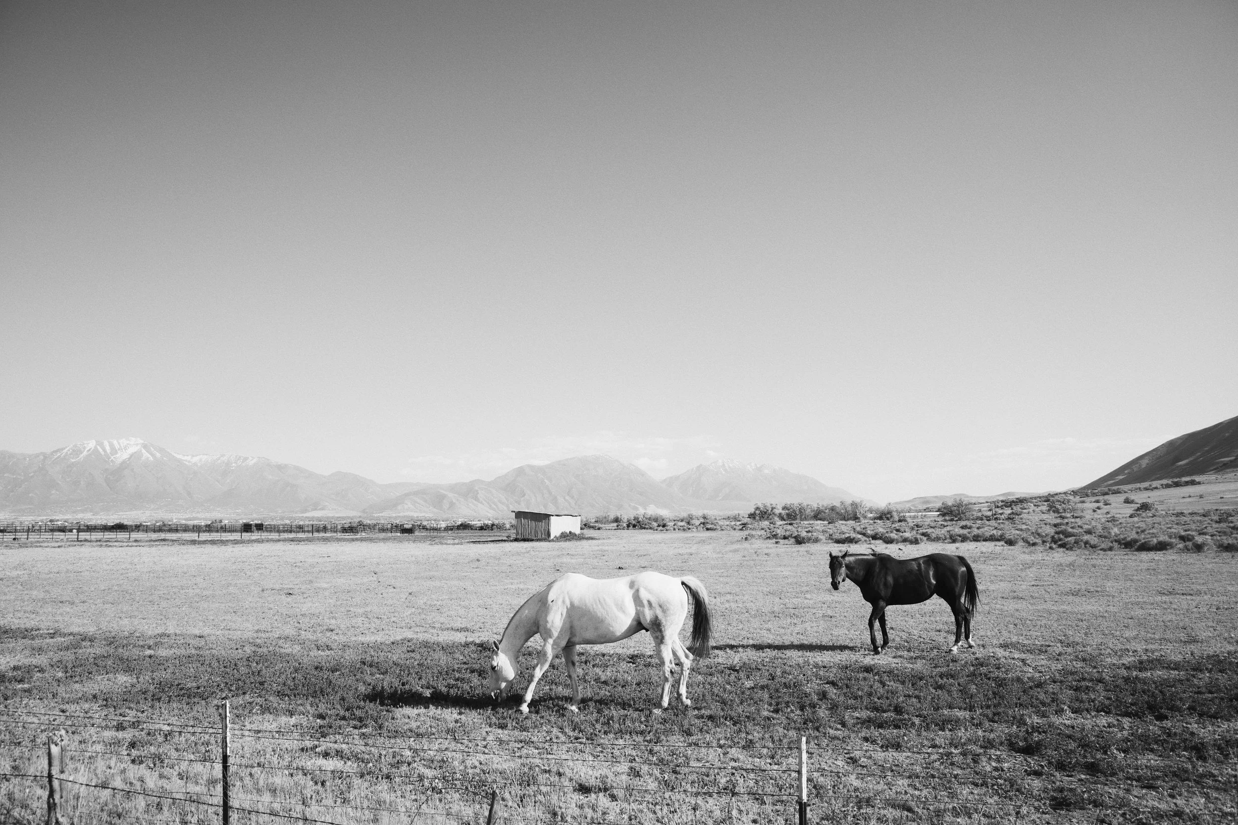 EE455DEC-9605-4E37-82BB-DF9A3E0E13BC.JPG