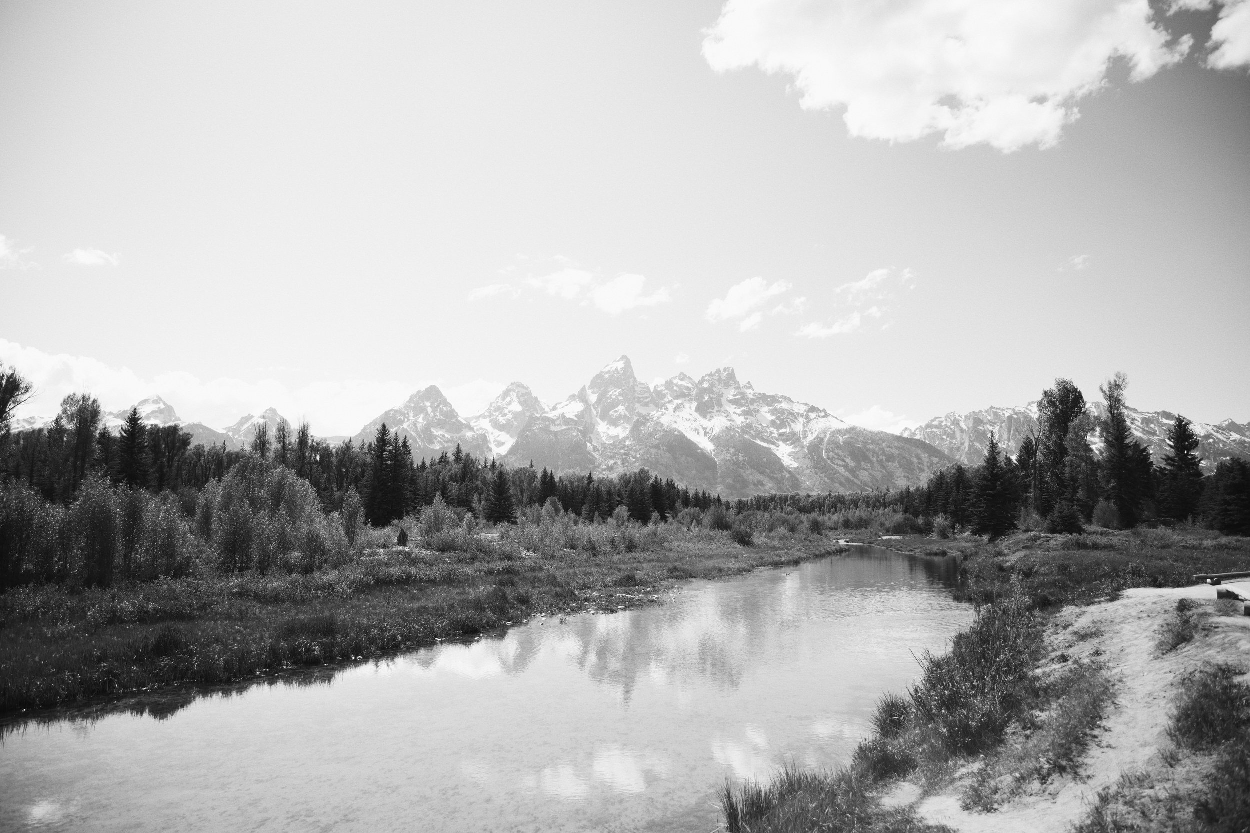 EEA5B456-7206-42F0-A5A0-A8598C72BF3C.JPG