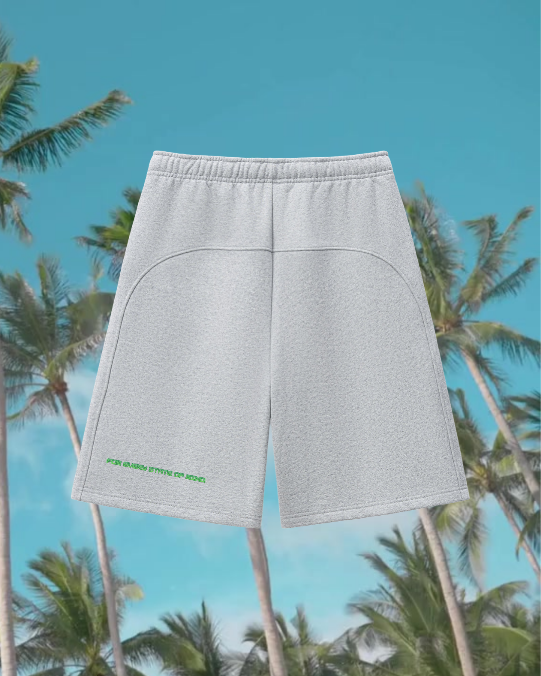 Shorts Back (3).png