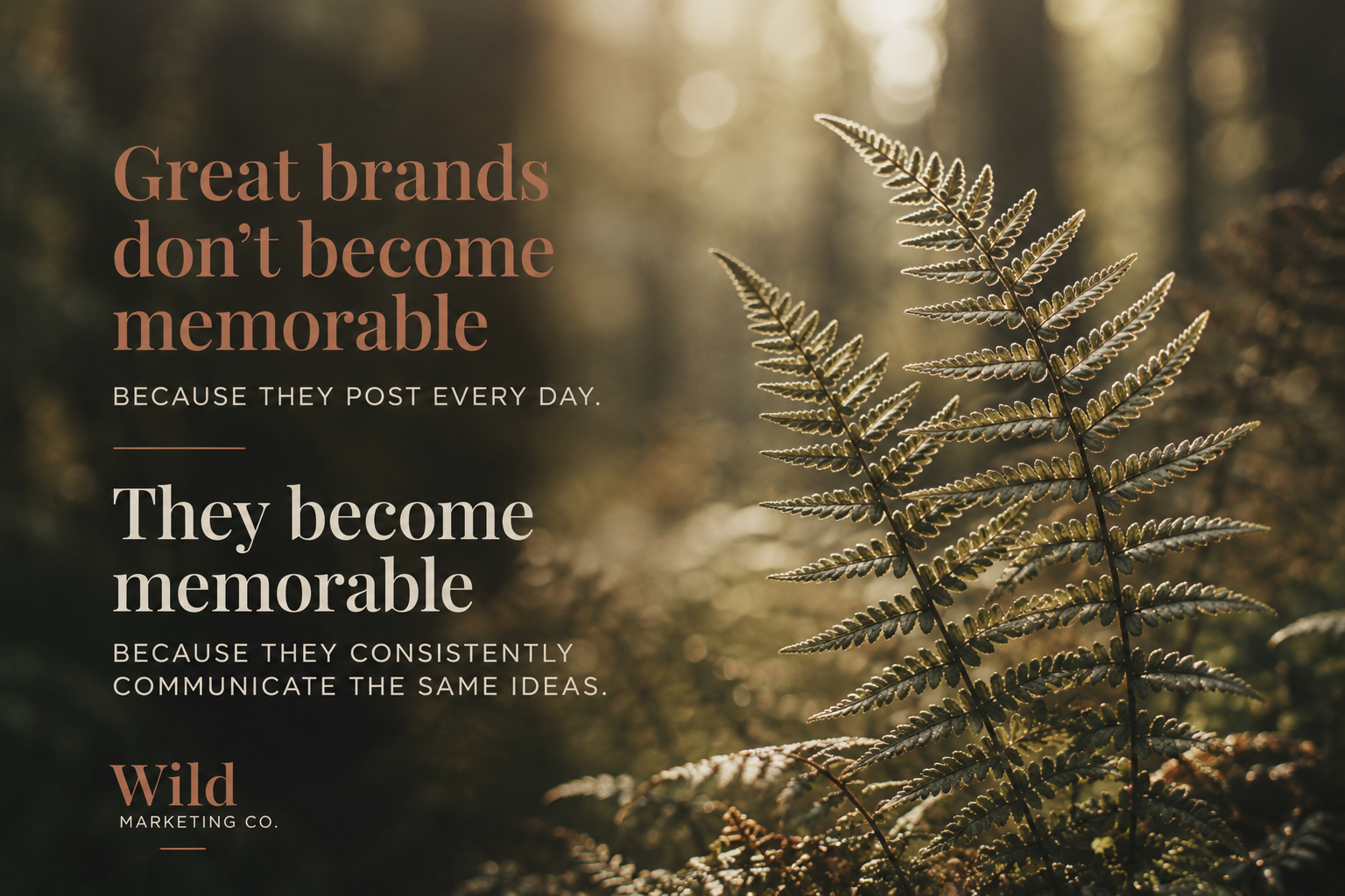 Great brands become memorable because they consisitently communicate the same ideas