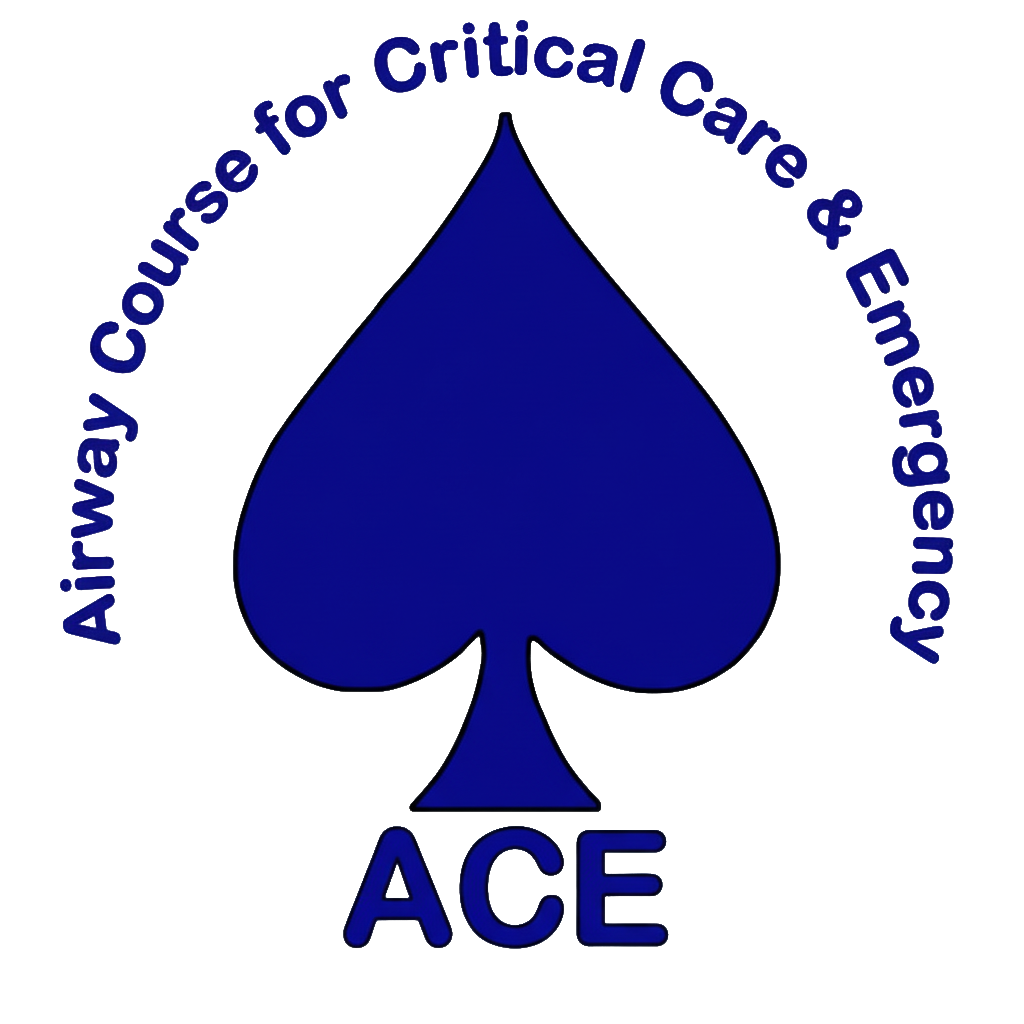 ACE course logo