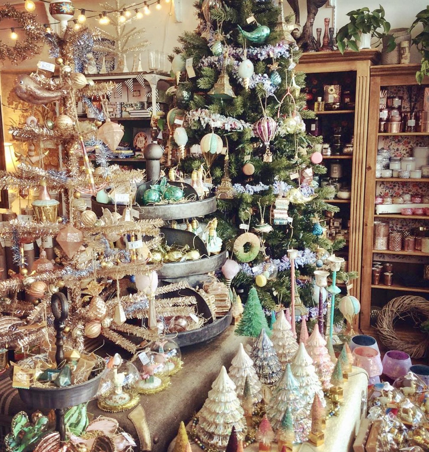 Screenshot 2025-12-17 at 11.56.13 AM.jpeg