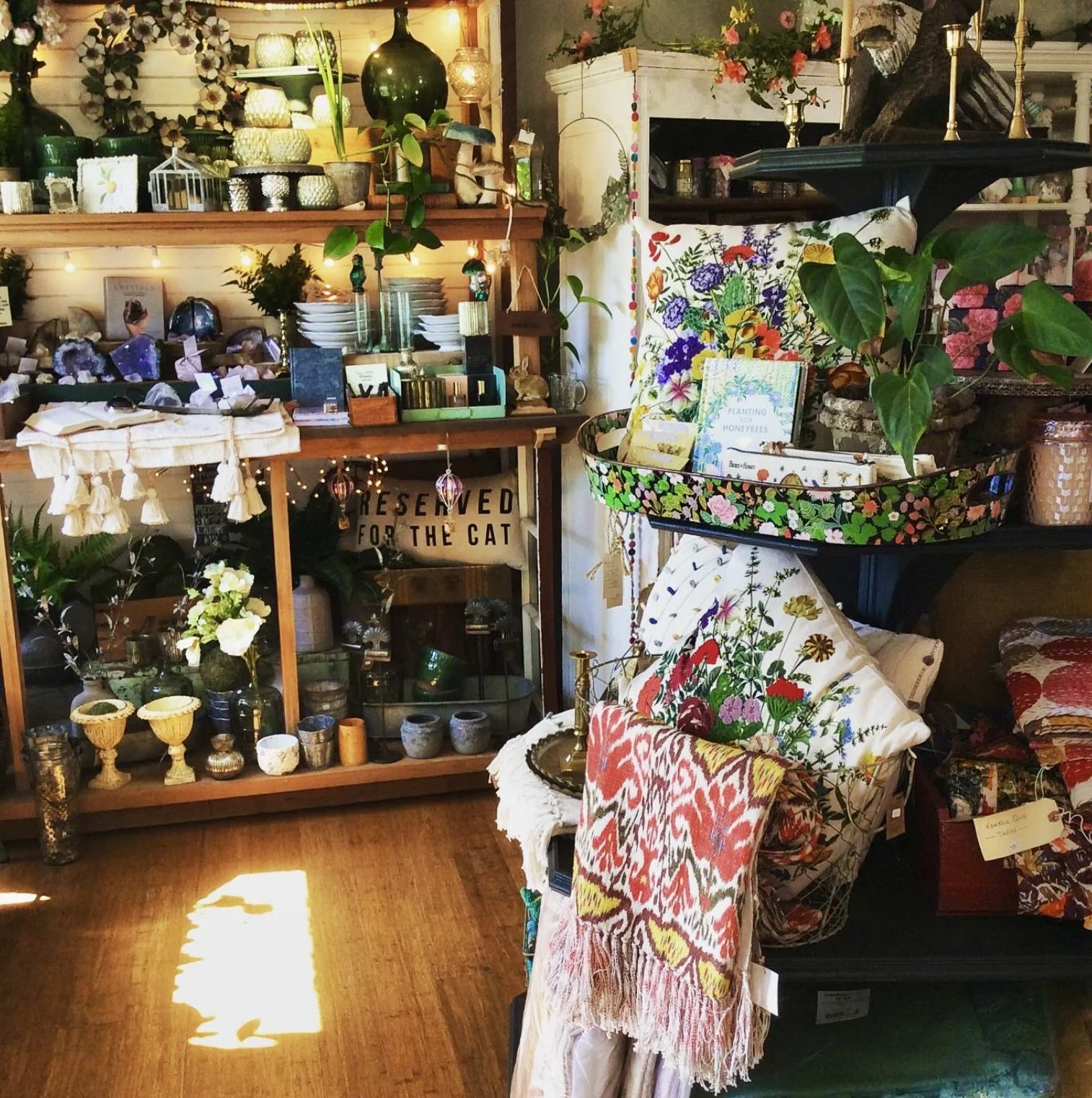 Screenshot 2025-12-17 at 12.02.05 PM.jpeg