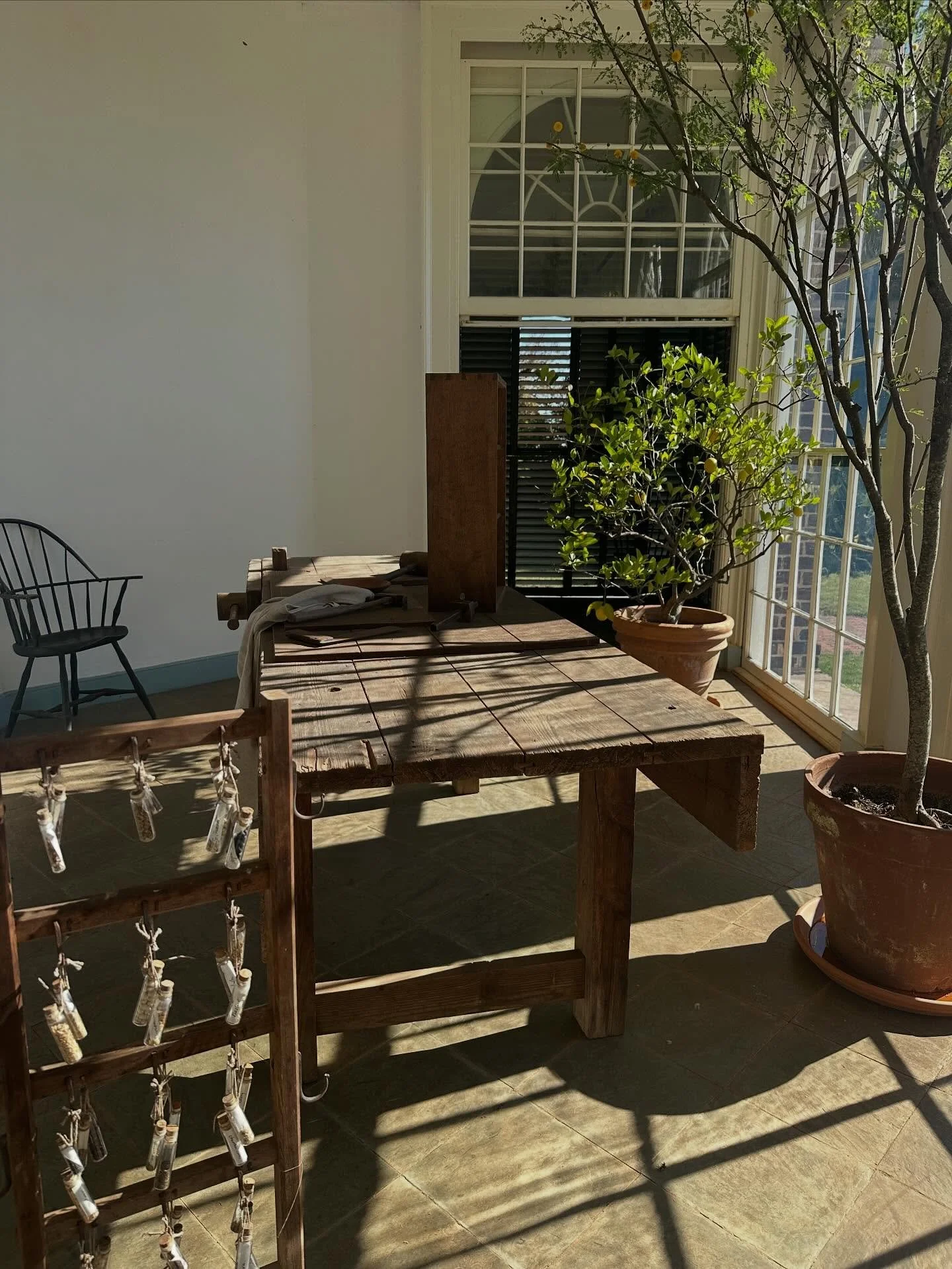 Greenhouse envy @tjmonticello #greenhouse #gardenroom #thomasjefferson
