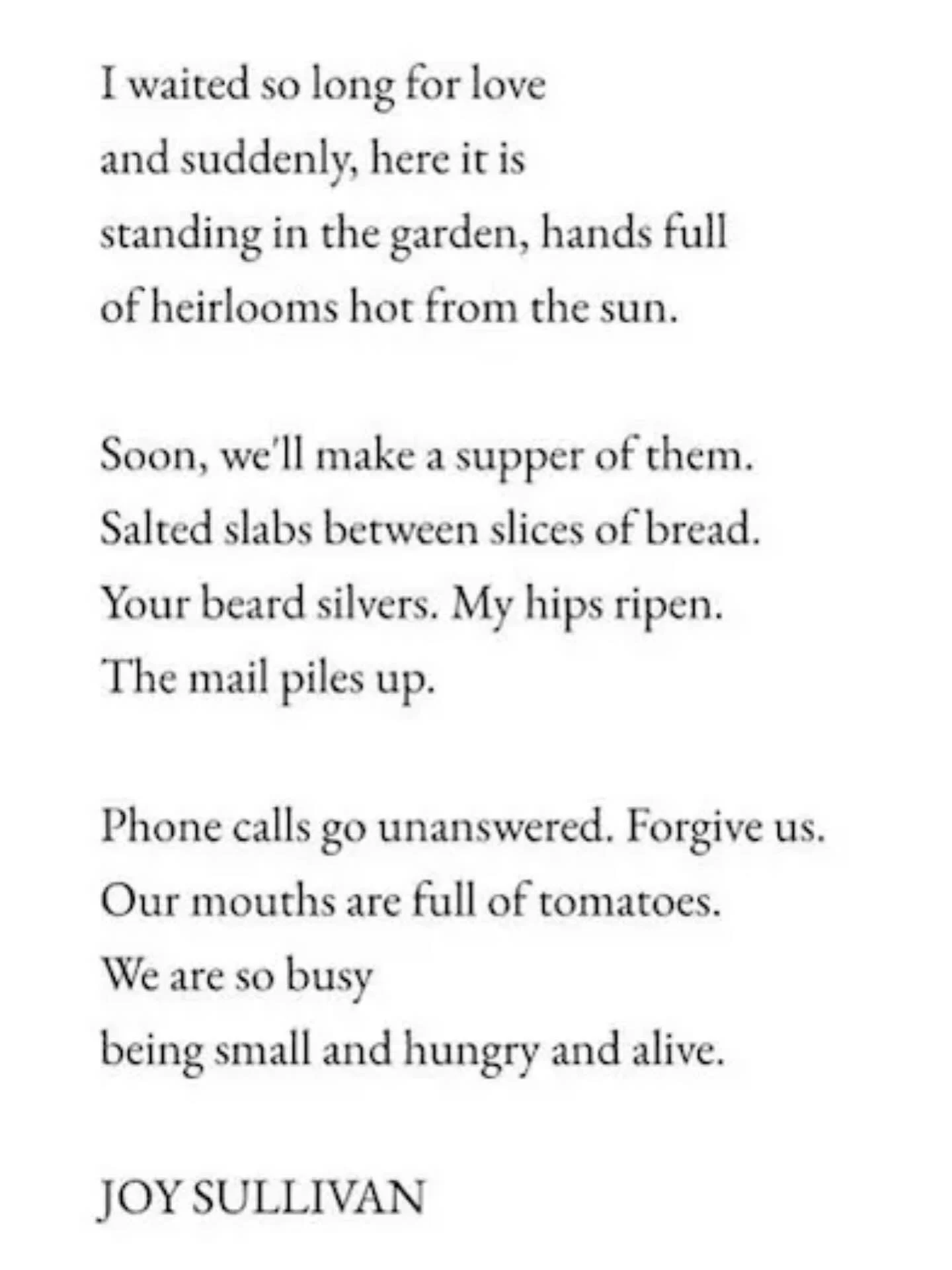 &ldquo;Tomatoes&rdquo; by Joy Sullivan