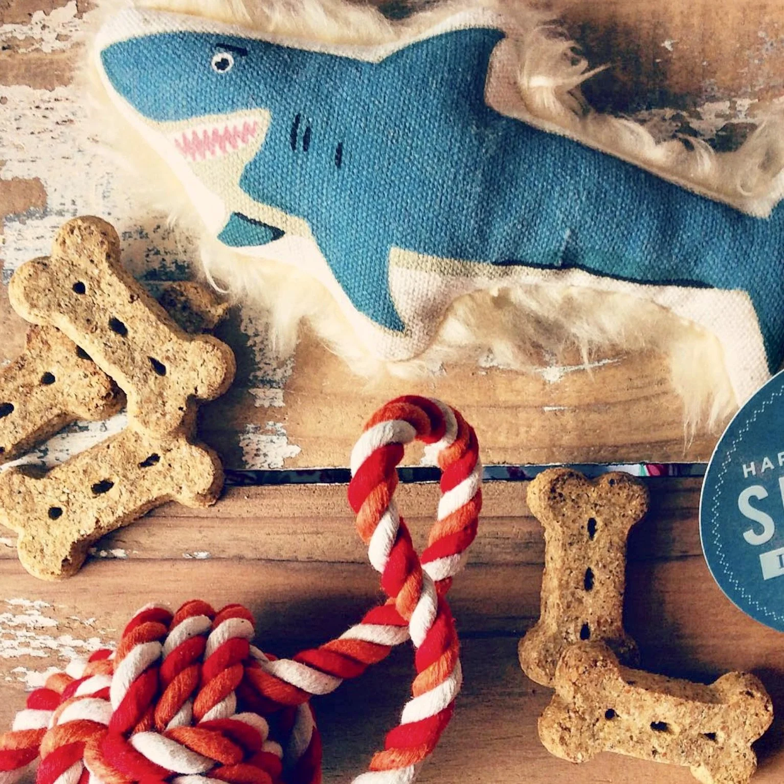 Screenshot 2025-12-17 at 11.44.18 AM.jpeg