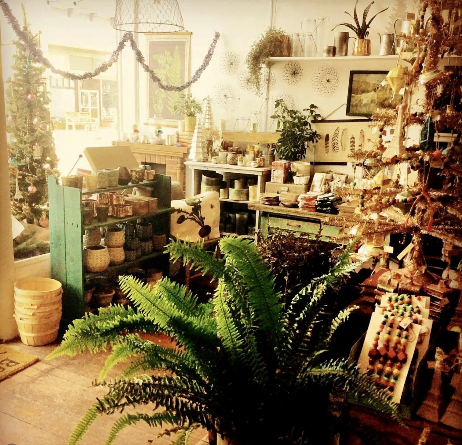 Screenshot 2025-12-17 at 11.48.51 AM.jpeg