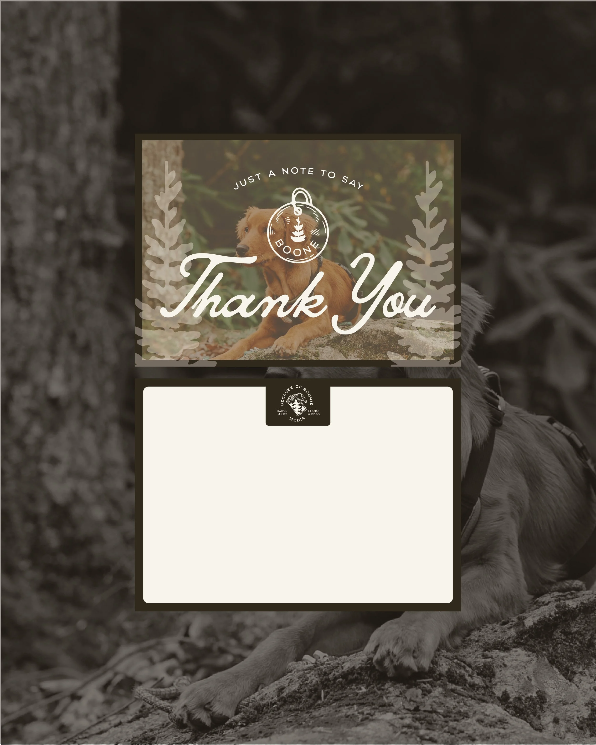 IG Launch Post_4.jpg